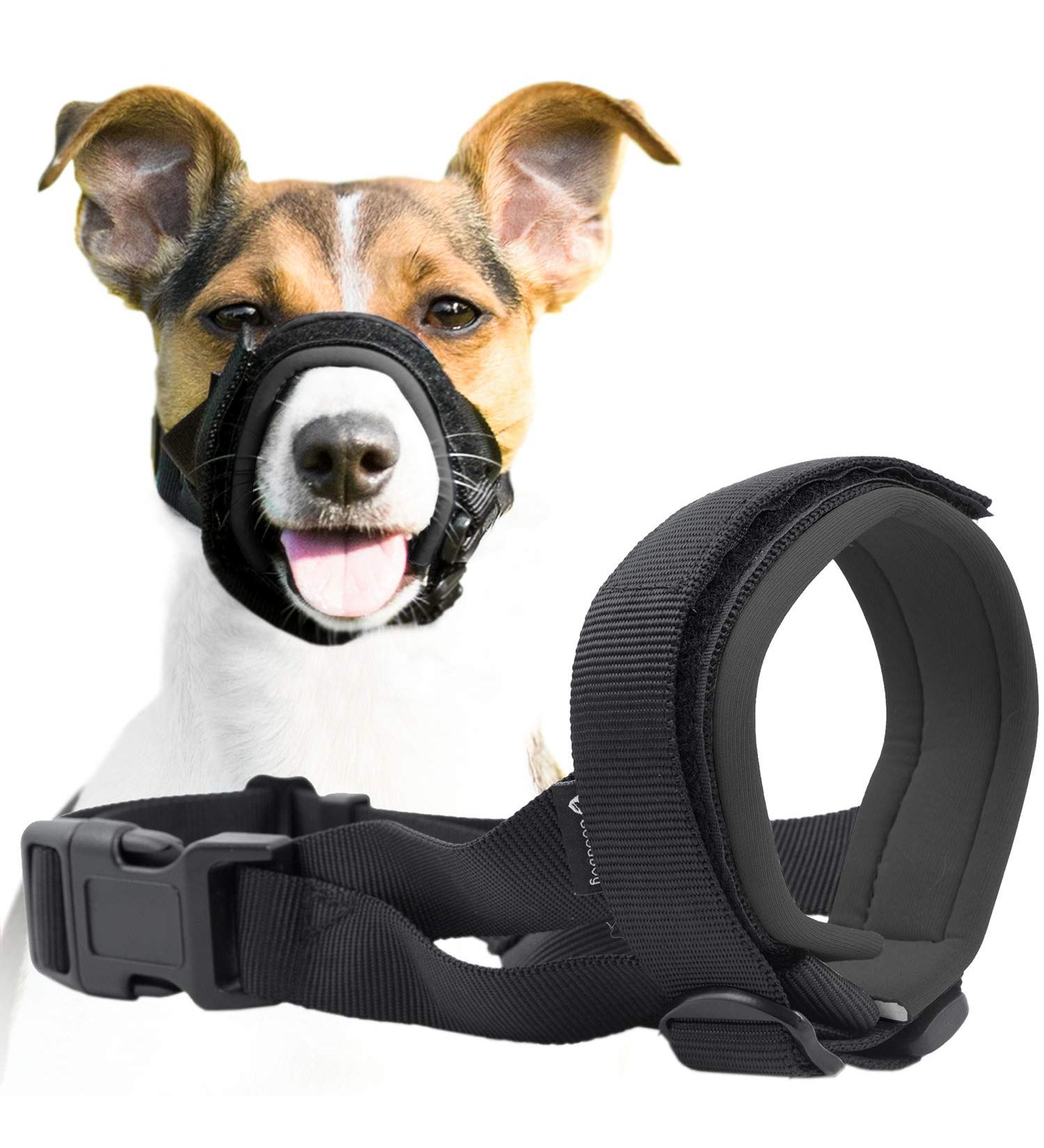 Gentle Muzzle Guard for Dogs - Prevents Biting and Unwanted Chewing Safely New Secure Comfort Fit - Soft Neoprene Padding No More Chafing Included Training Guide Helps Build Bonds with Pet (S+ Grey) Grey S+ (Pack of 1) - Buy Online on GoSupps.com