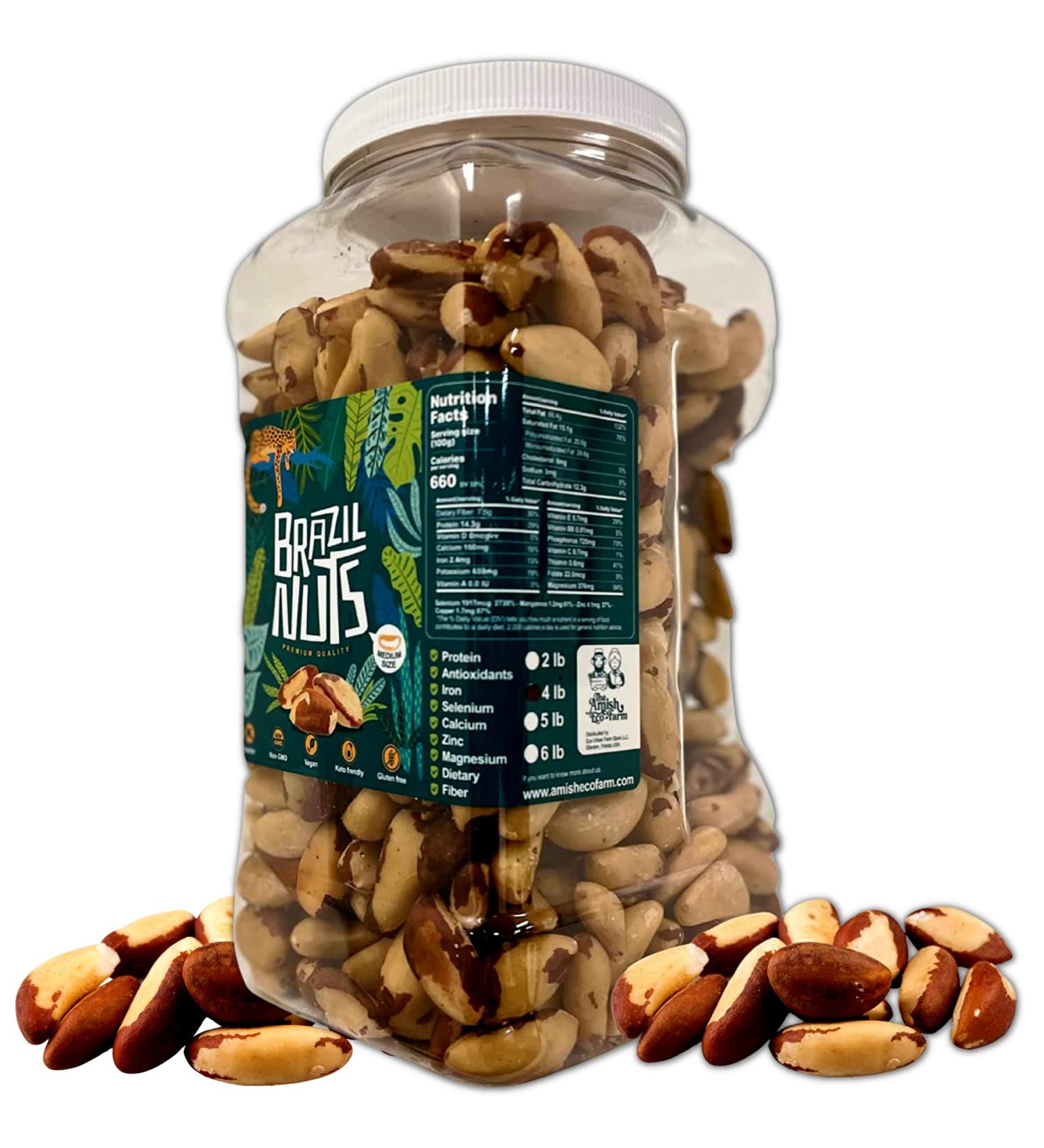 The Amish Eco-Farm Medium Brazil Nuts - Raw & Fresh 5lb Jar - Buy Online on GoSupps.com