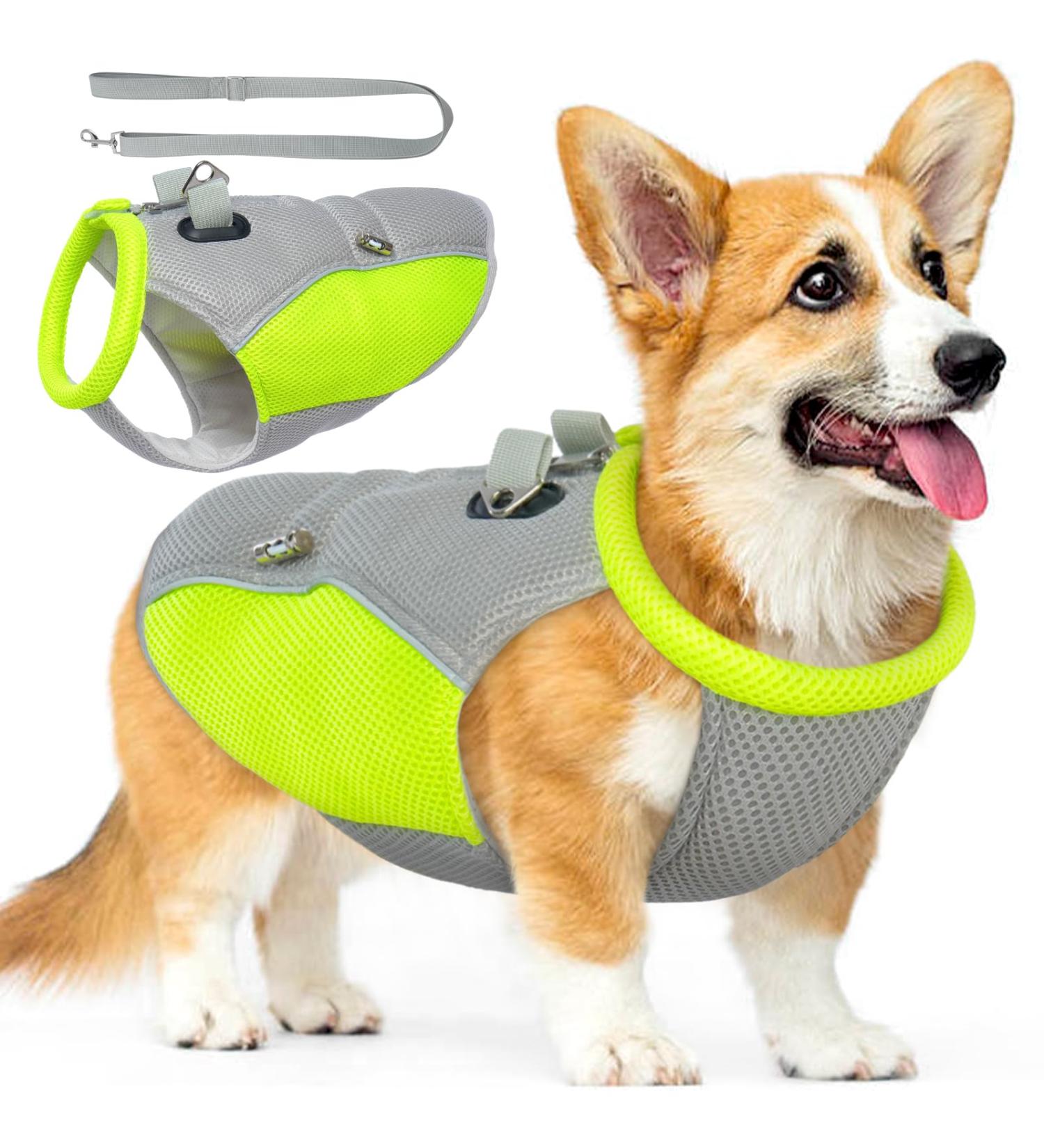 Shop Hjyokuso Cooling Vest for Dogs - Summer Cooling Jacket for Small Medium & Large Dogs - Perfect for Outdoor Activities & Training - Buy Online on GoSupps.com