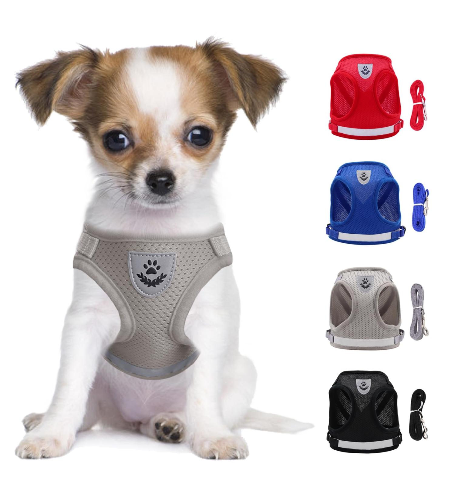 Buy Reflective Soft Padded Dog Harness & Cat Dishes for Small Dogs | Air-Mesh Leash & Pet Accessories - Perfect for Puppies & Cats (Chest: 29-33cm) - Buy Online on GoSupps.com