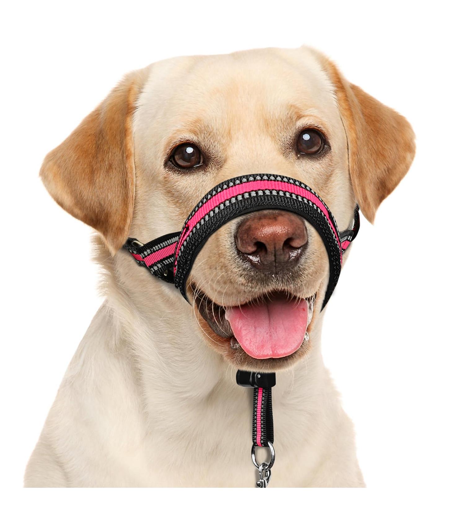 Soft Adjustable Dog Muzzle for Medium & Large Dogs | No Pull Padded Design for Safe Training - Pink (Snout 9.5-14) - Buy Online on GoSupps.com