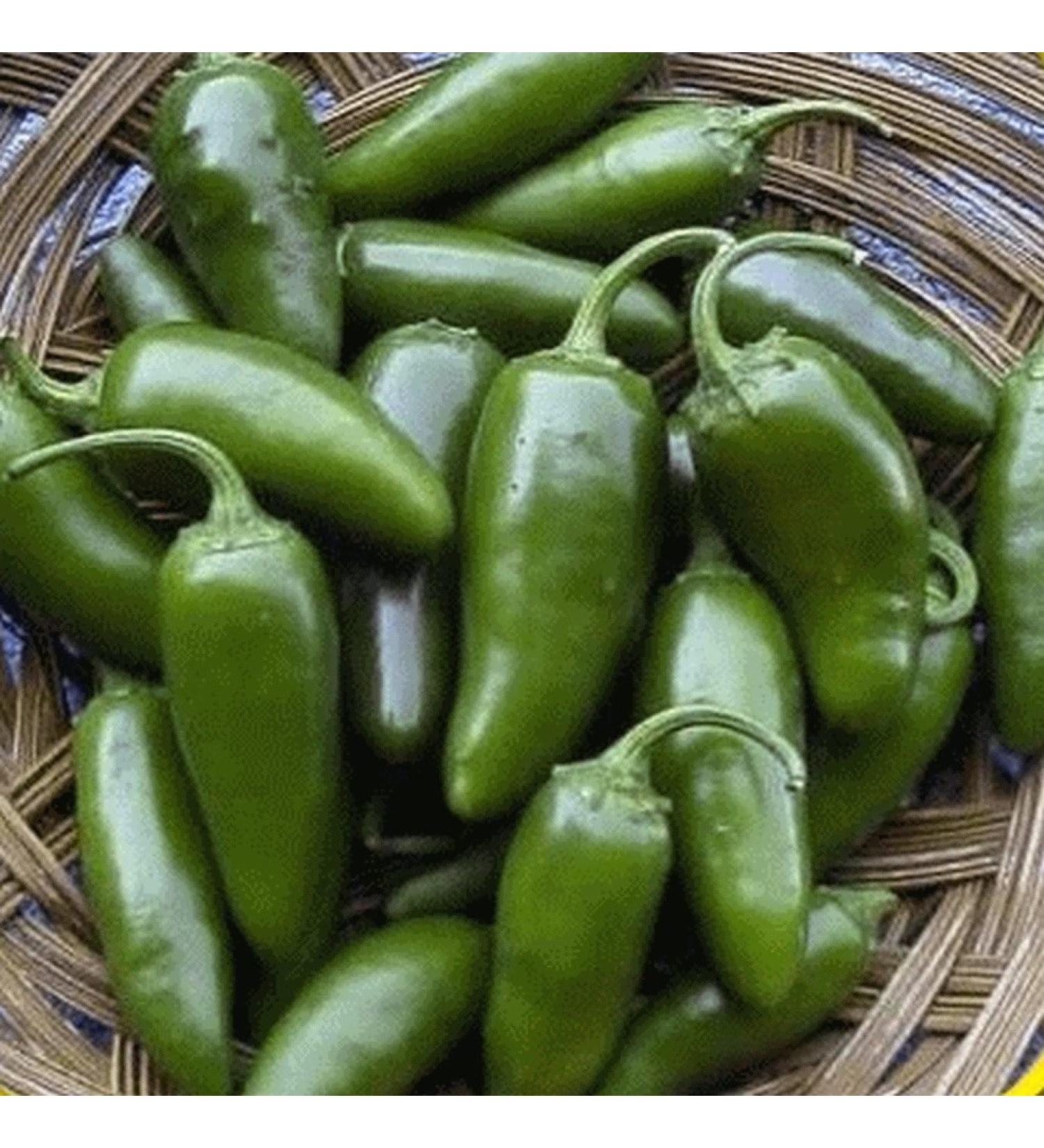 50 Semi Jalapeno Hot Pepper