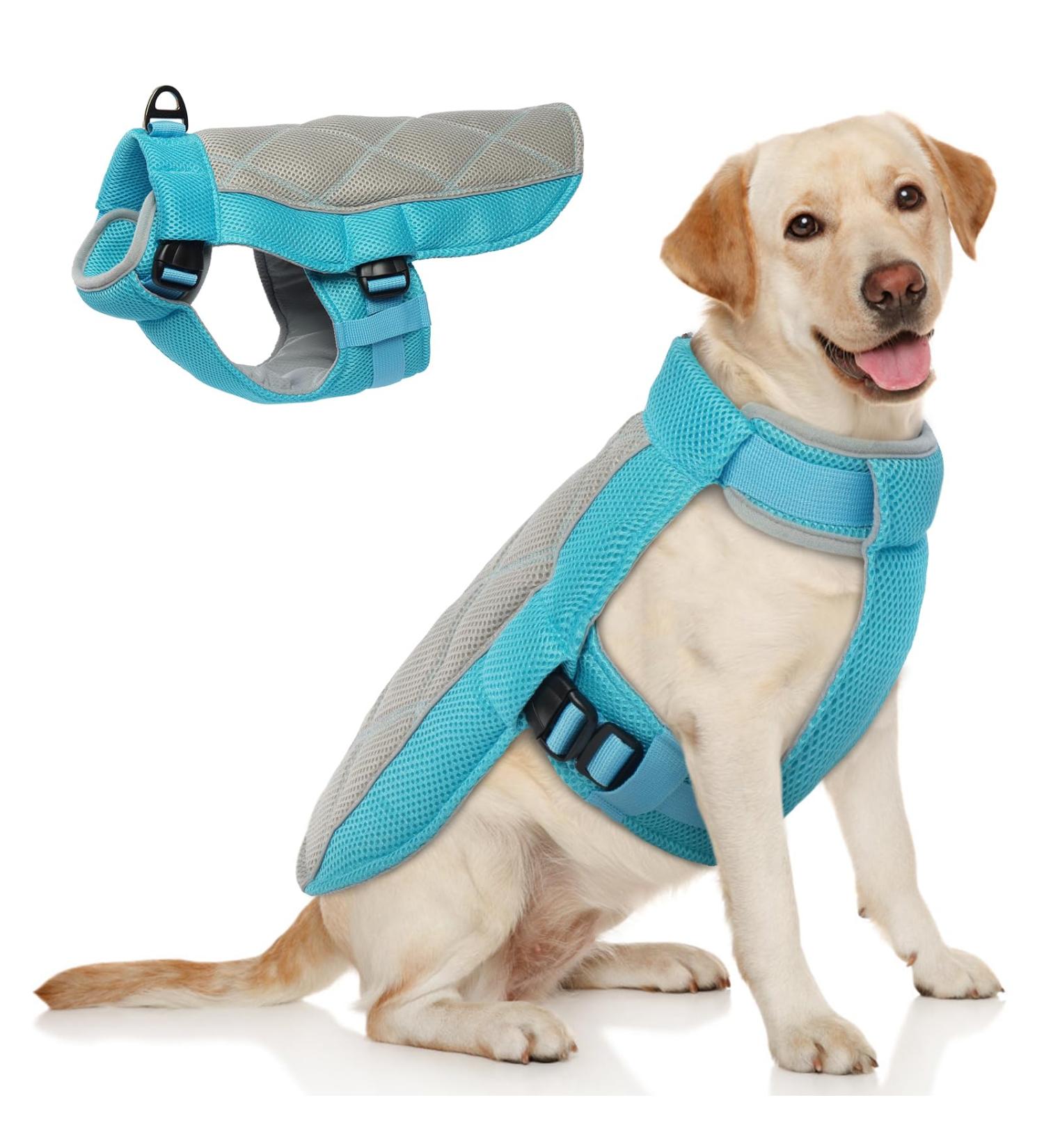 Hjumarayan Dog Cooling Vest - Breathable XXL Summer Coat with D-Rings - Perfect for Hot Days - Blue - Buy Online on GoSupps.com