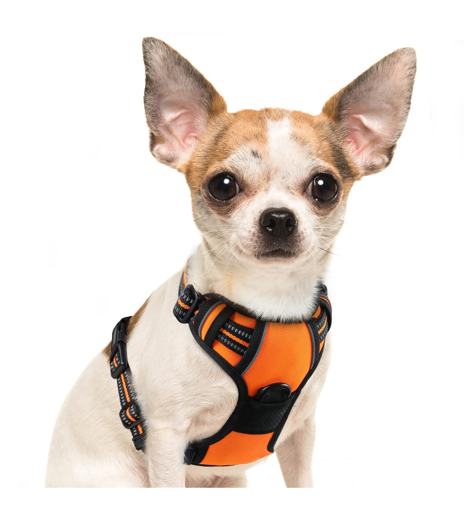 Adjustable No Pull Dog Harness - Padded Front Puppy Vest with Handle - Reflective Breathable Mesh for Outdoor Adventures - Comfort Control - Orange (1 Pack) - Buy Online on GoSupps.com
