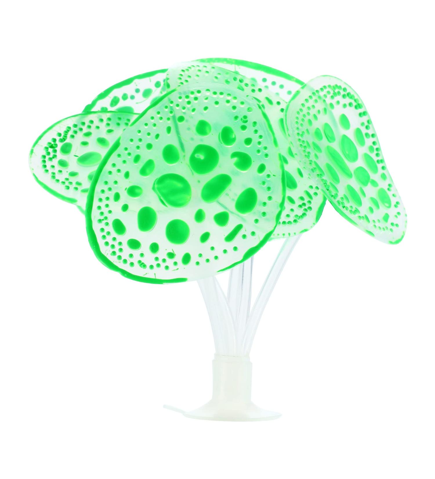Buy VOCOSTE Silicone Glowing Aquarium Coral with Suction Cup - Lifelike Green Underwater Decor for Fish Tanks - Buy Online on GoSupps.com