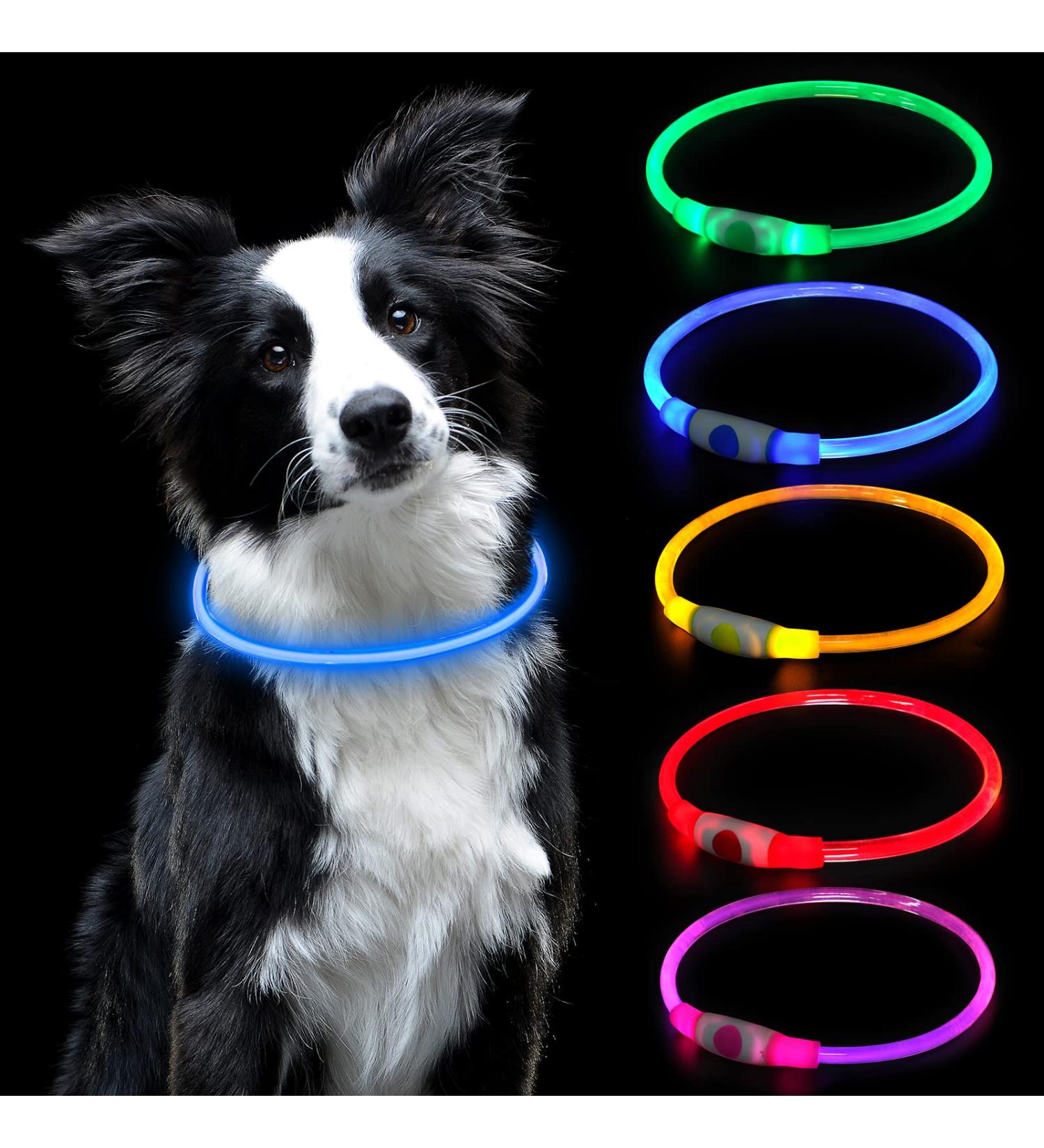 Shop Auauy LED Light Neck Band for Dogs & Cats - USB Charging Adjustable Waterproof Luminous | 3 Modes (Blue) Pet Security Collar - Buy Online on GoSupps.com
