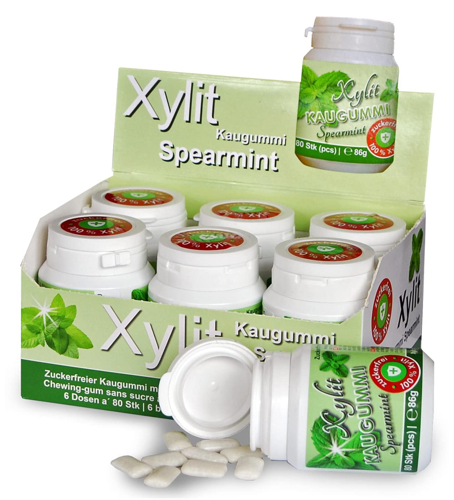 Xylitquelle Spearmint Dental Care Chewing Gum | Sugar-Free Vegan 100% Xylitol | 480 Pieces (6-Pack) | No Aspartame or Sorbitol | Tooth Mineralization Support - Buy Online on GoSupps.com