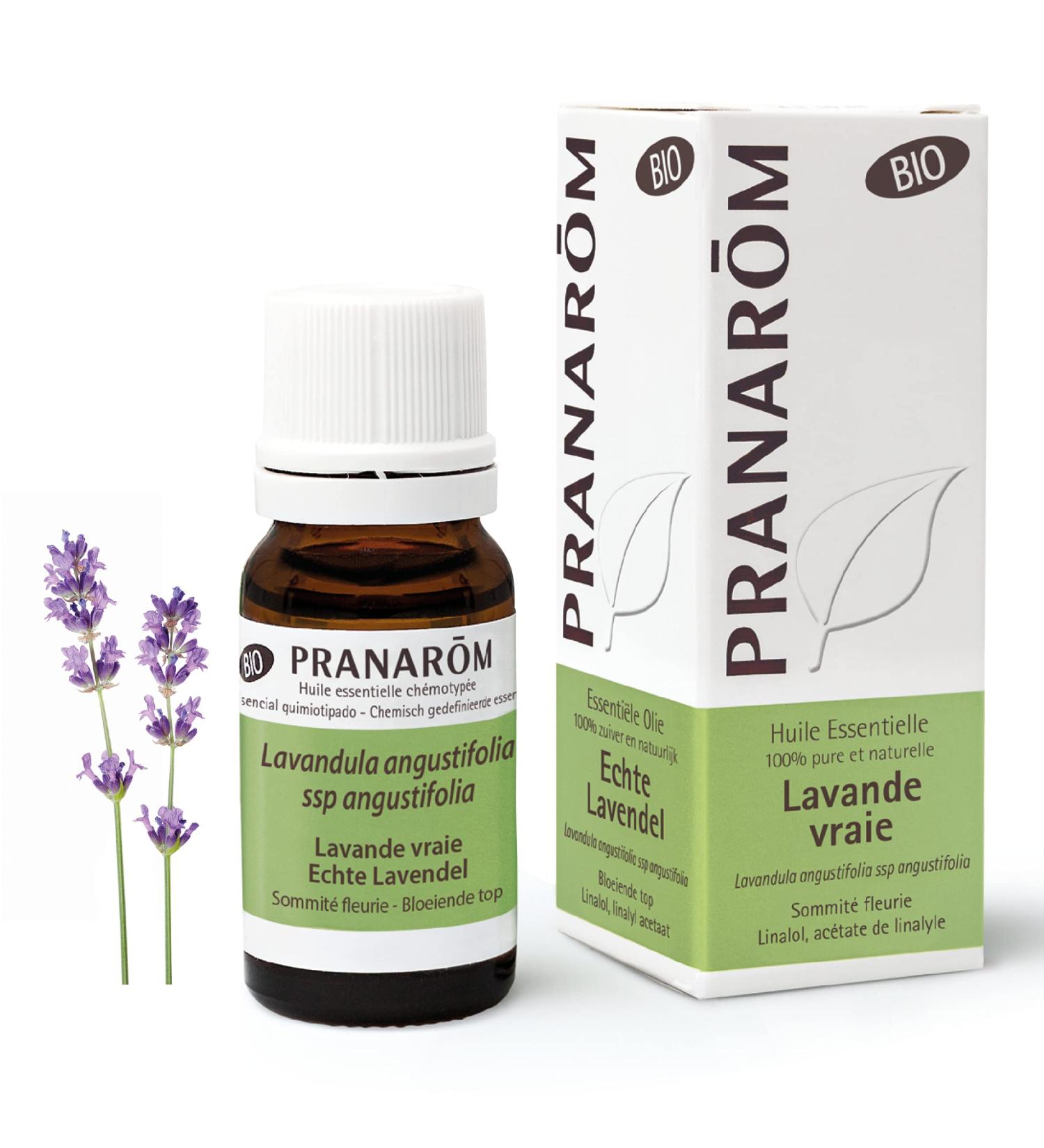PRANAROM therisches l Lavande vraie 10 ml Hochwertiges Lavendel l f r Entspannung & Aromatherapie | Internationaler Versand - Buy Online on GoSupps.com