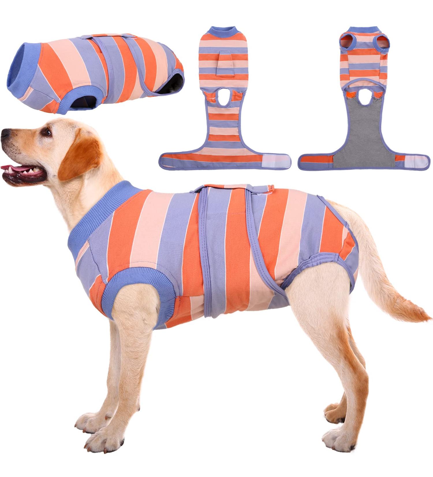 Kuoser Dog Recovery Suit - After Surgery Body for Male & Female Dogs | Breathable E-Collar Alternative | Anti-Wound Suit in XL Orange & Blue - Buy Online on GoSupps.com