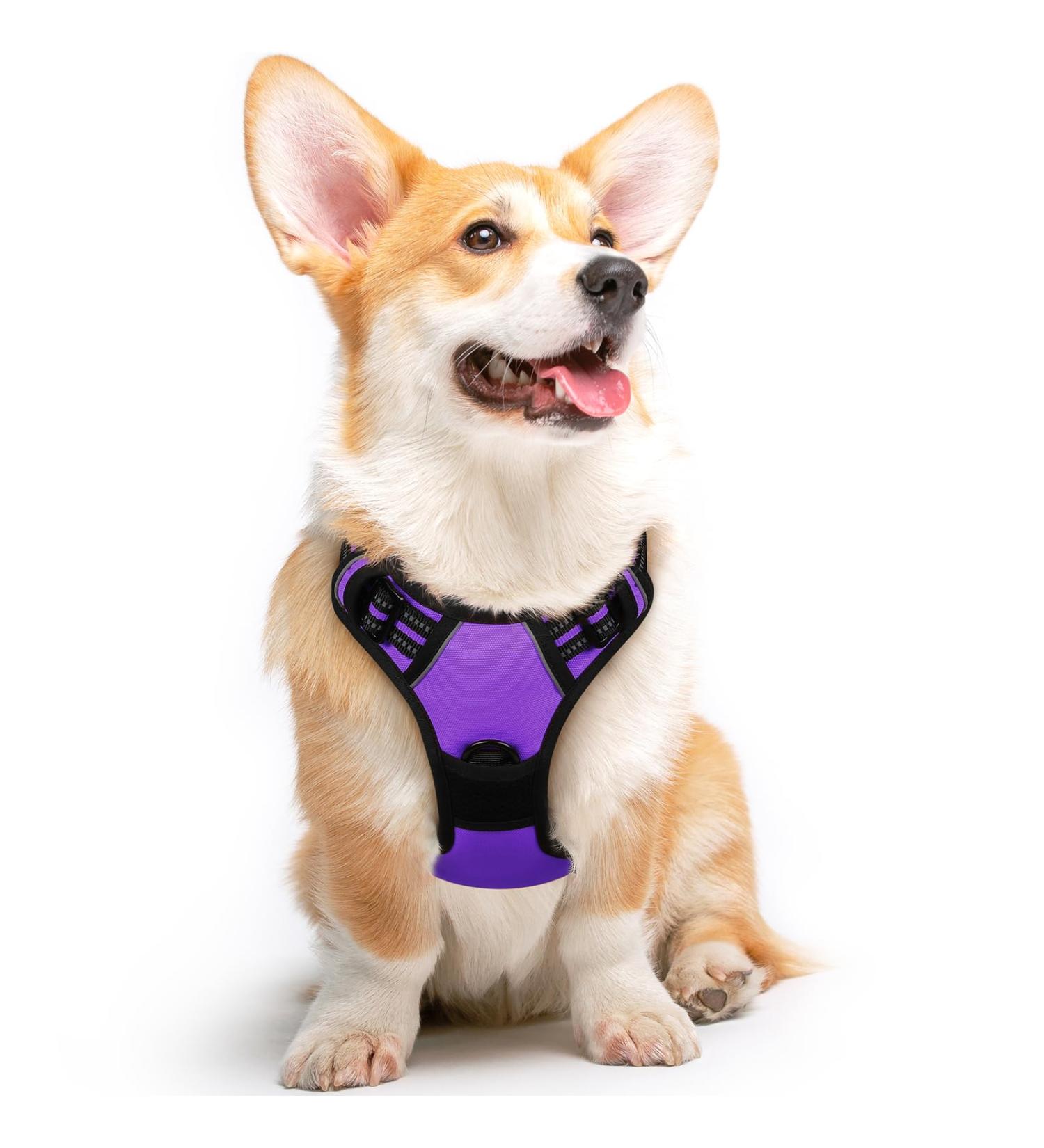 Eagloo Medium Dog Harness - Adjustable Anti-Train Harness with Reflective Strips for Walking & Jogging | Durable Purple Design (1 Pack) - Buy Online on GoSupps.com