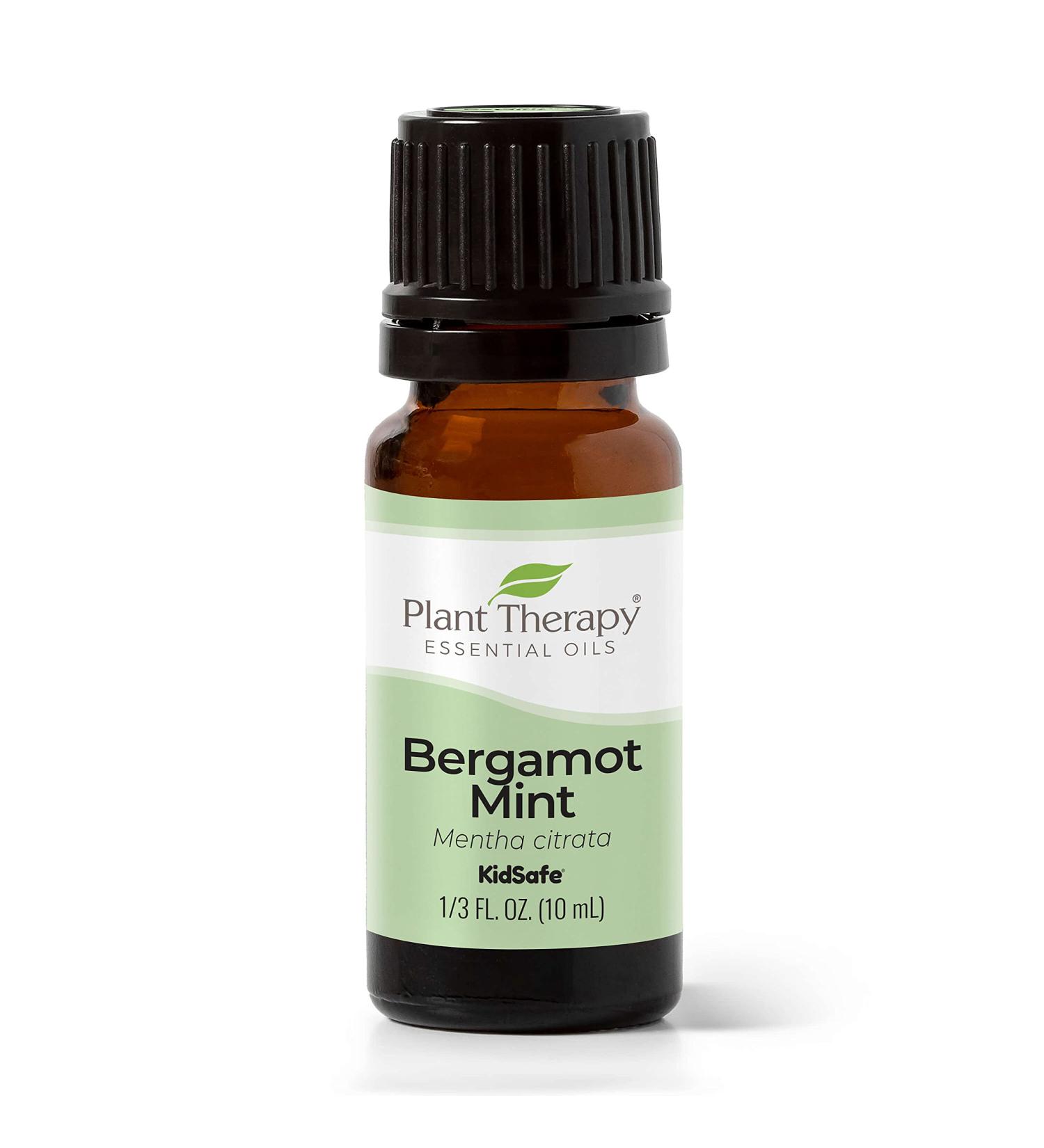Bergamot Mint Essential Oil 10 mL - 100% Pure Undiluted Therapeutic Grade | Plant Therapy - International Shipping Available - Buy Online on GoSupps.com