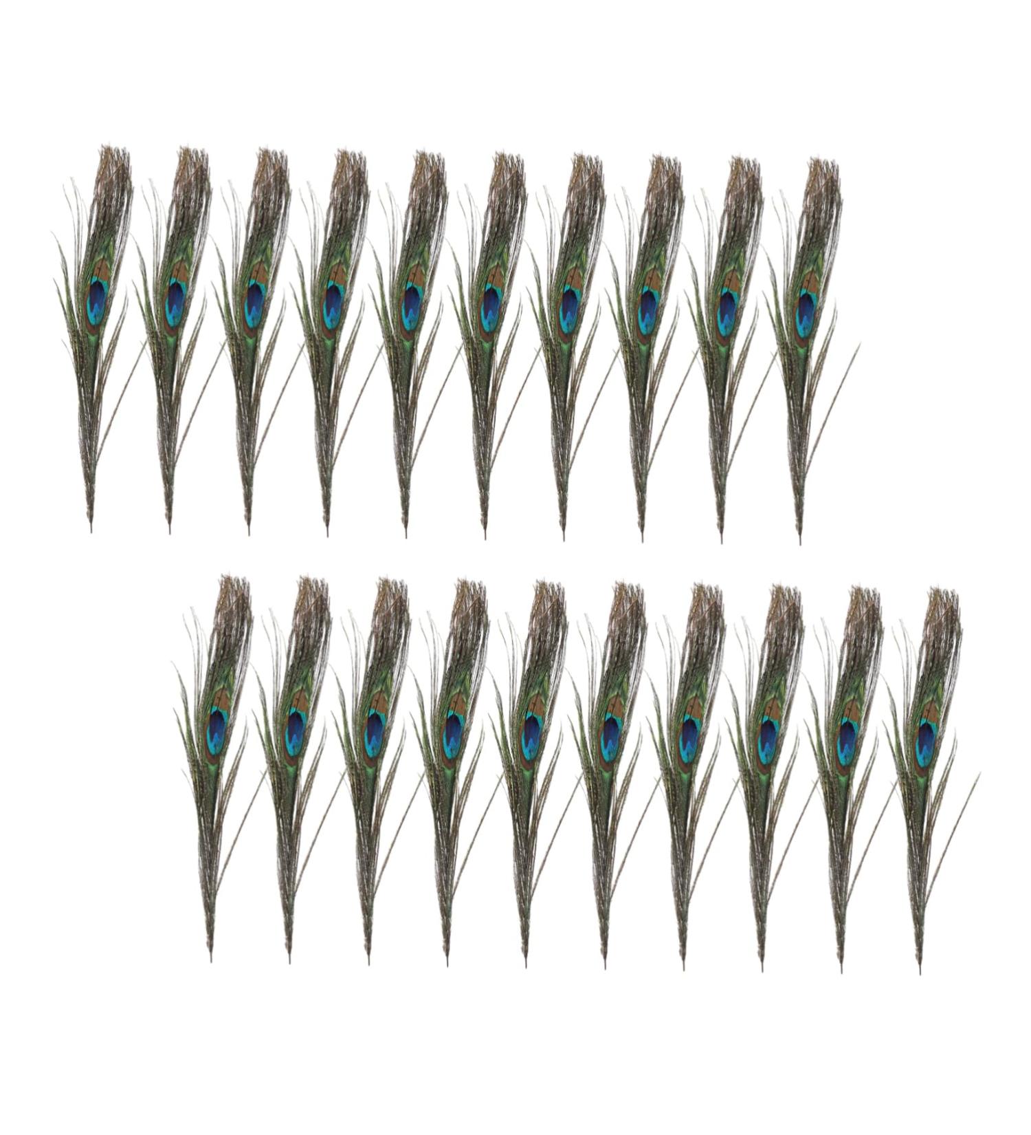 Lurrose 50pcs Peacock Tail Eye s Peacock s Peacock Tail s Peacock Eye s Crafts Natural - Buy Online on GoSupps.com