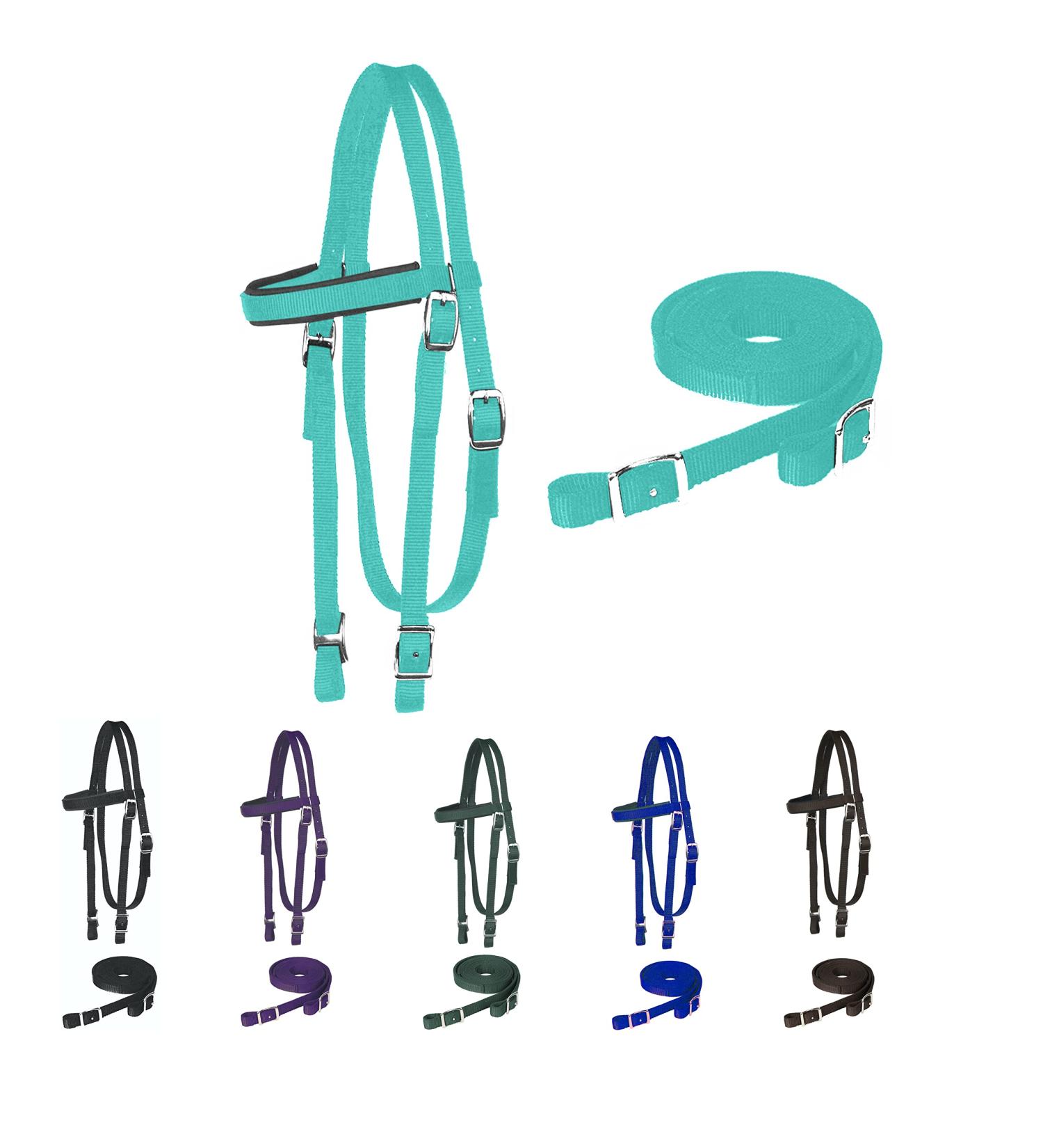Majestic Ally Turquoise Nylon Padded Browband Headstall with Reins - Full Size - Buy Online on GoSupps.com
