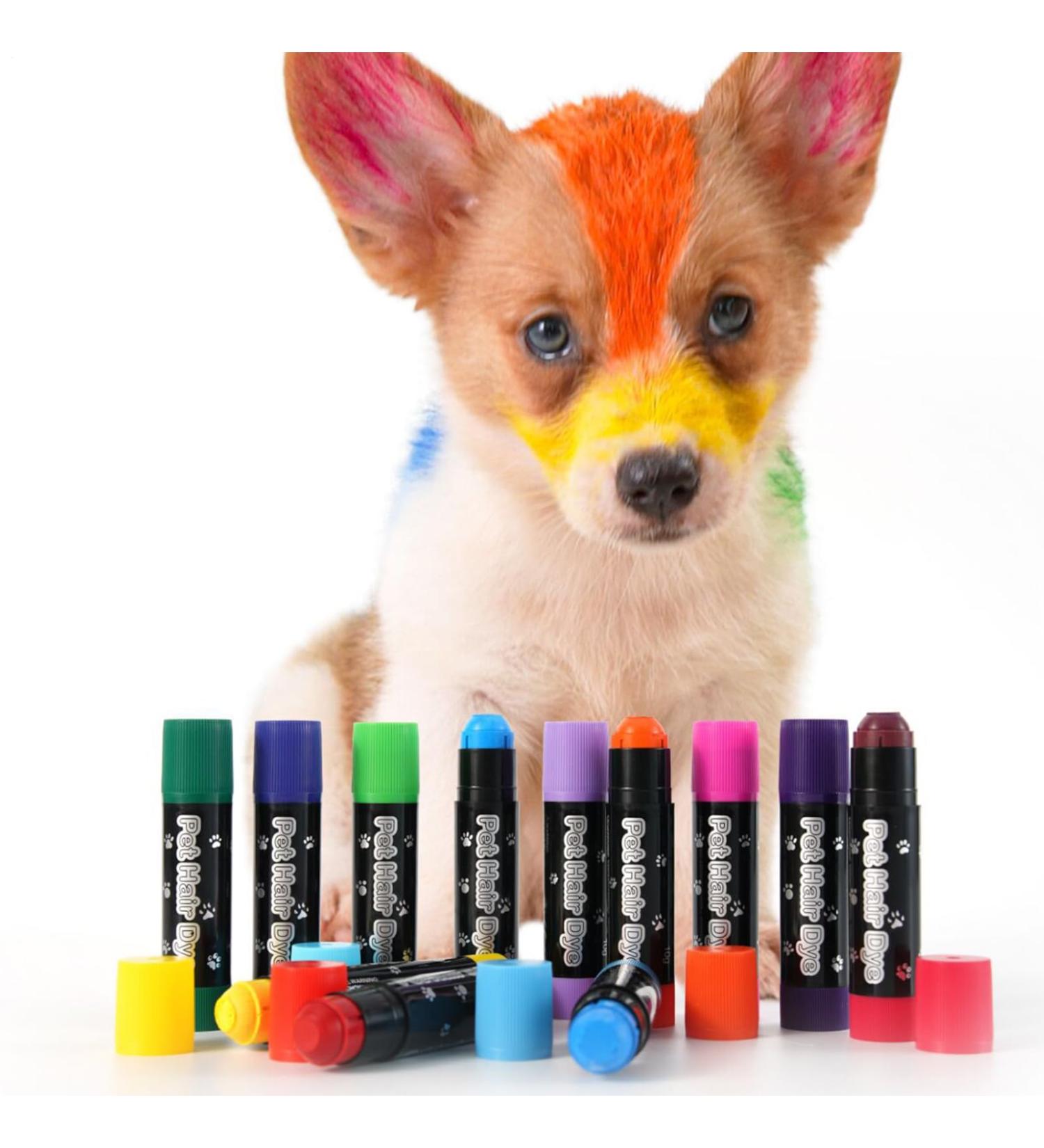 Dog Hair Dye Temporary Pet Hair Coloring - Safe Temporary Paint Markers for Creative Styling on Cats Horses and Pets - Buy Online on GoSupps.com