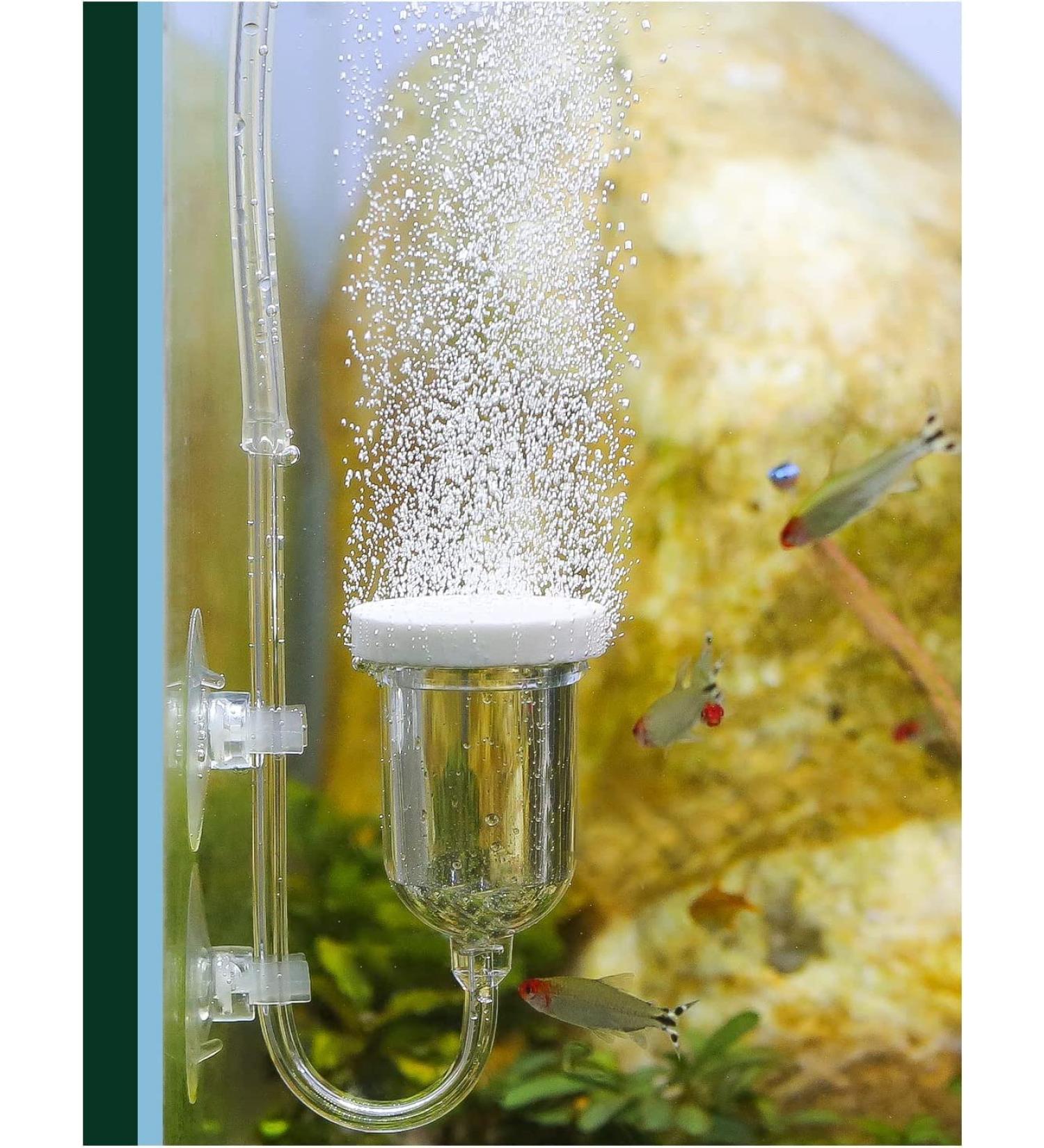 Buy Aquarium Air Stone Kit - High Efficiency Diffuser for Oxygen & Tiny Bubbles | Quiet Accessories for Hydroponics & Aquariums (35mm) - Buy Online on GoSupps.com