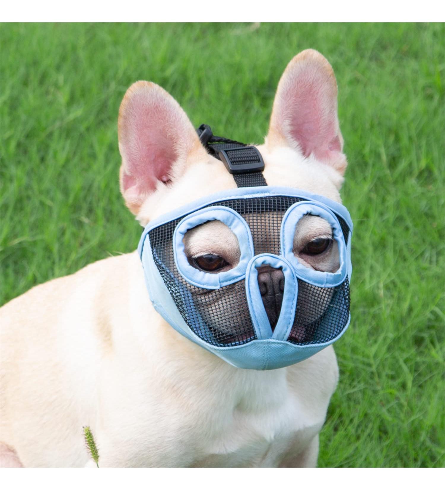 Jyhy Adjustable Muzzle for Short Snouted Dogs - Breathable & Comfortable Bulldog Muzzle for Biting Chewing & Training - Size M (28-43 cm) - Blue - Buy Online on GoSupps.com