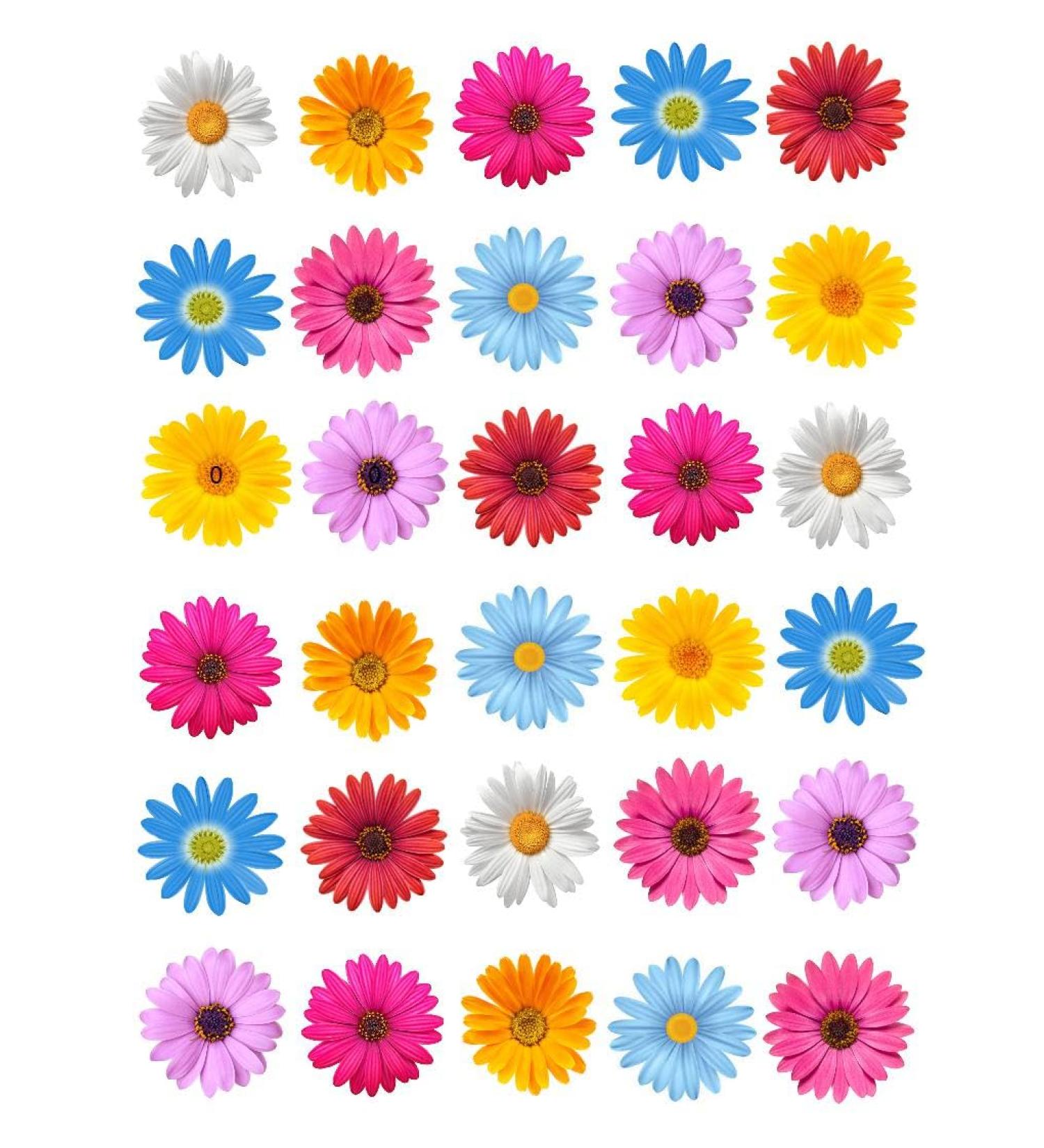 30 x Edible Flowers Daisy Rice Fairy Paper Cake Cupcake Toppers Edible Decoration Daisies