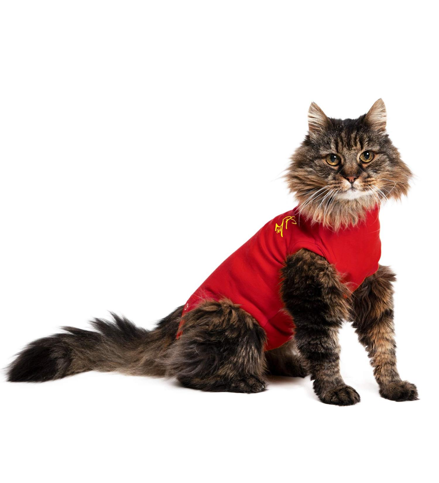 MPS Medical Pet Shirt Cat Surgery Recovery Suit Red X-Small - Buy Online on GoSupps.com