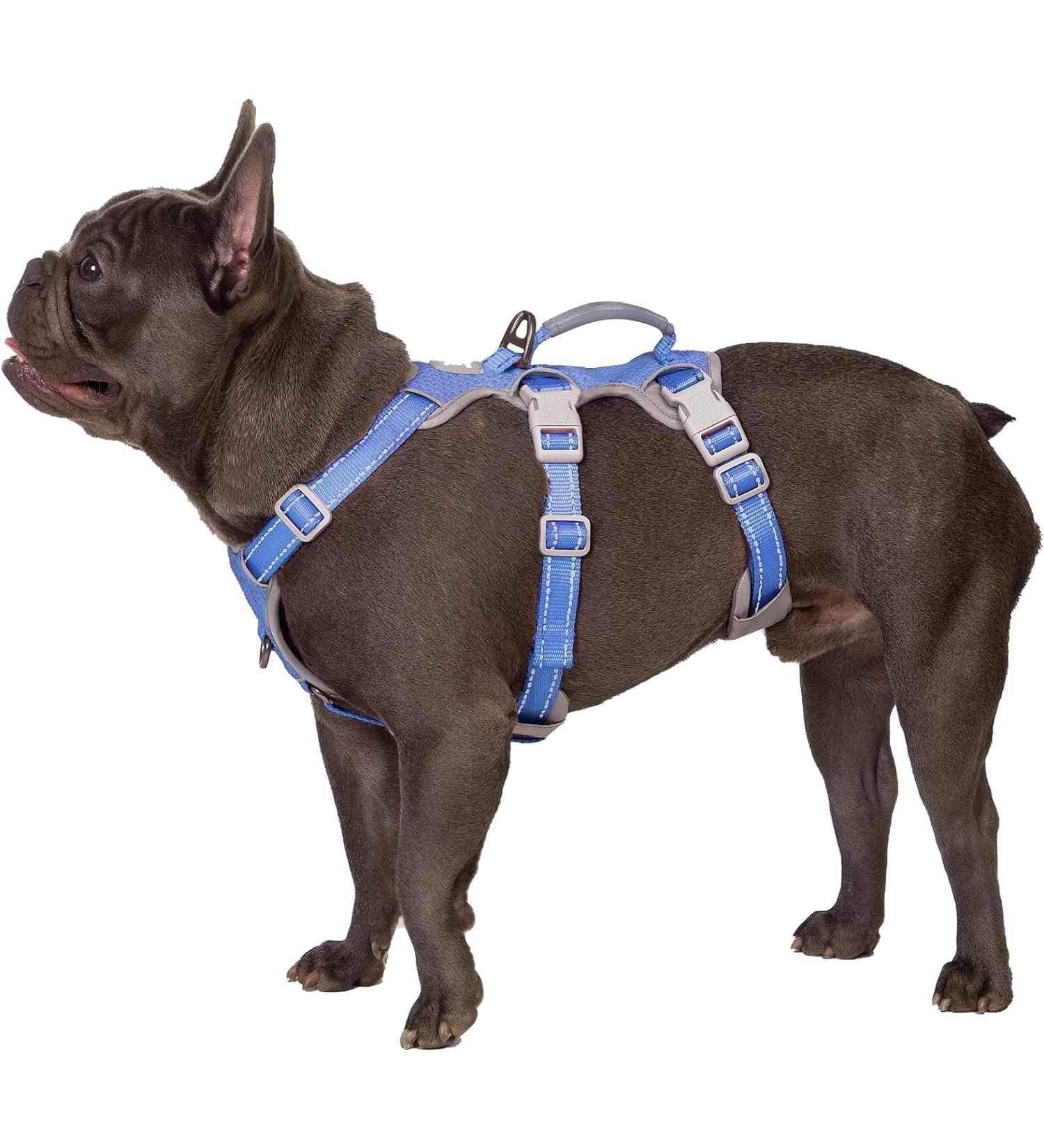 Huntboo Outbreak-Proof Dog Harness & Safety Dishes - Reflective Adjustable Vest for Small Dogs (Vista Blue Size S) | Shop Now - Buy Online on GoSupps.com