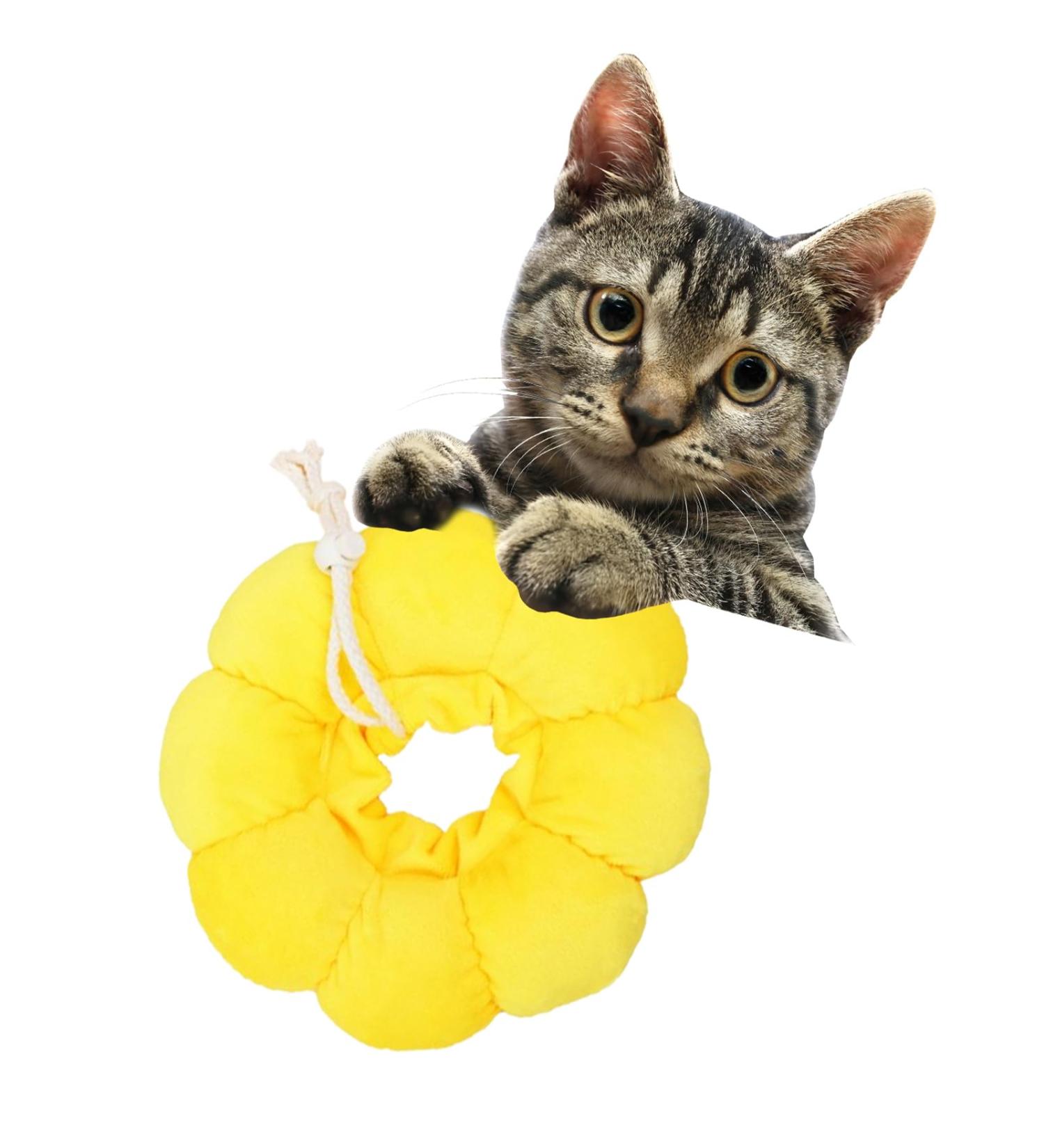 Adjustable Cat Recovery Collar Cat Elizabethan Collar Pet Cone Collar Cat Cone Collar for Anti-Bite Lick Kittens and Puppies Wound Healing (S sun flower) sun flower rainbow sun flower 22.6*8.6*4 - Buy Online on GoSupps.com