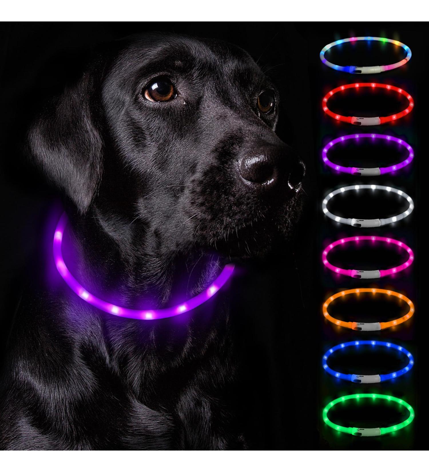 Nepfaivy Luminous Dog Collar - Waterproof LED USB Charging Adjustable Length 3 Safety Light Modes Purple Silicone - Buy Online on GoSupps.com
