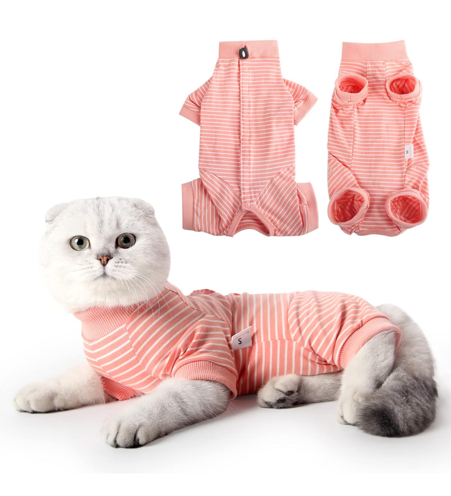 Buy Heywean Long-Sleeved Cat Body - Striped Post-Op Clothing for Castrated Cats | International Shipping Available - Buy Online on GoSupps.com