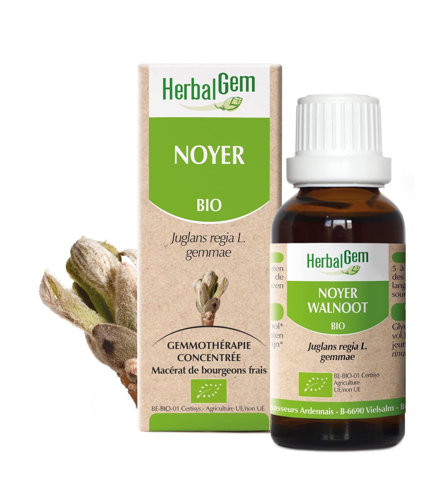 HERBALGEM - Macerate Mother - Organic Walnut - Food Supplement Gemmotherapy Concentrated - Fresh Bud Extract - For Digestion & Intestinal Flora - 30 ml - Buy Online on GoSupps.com