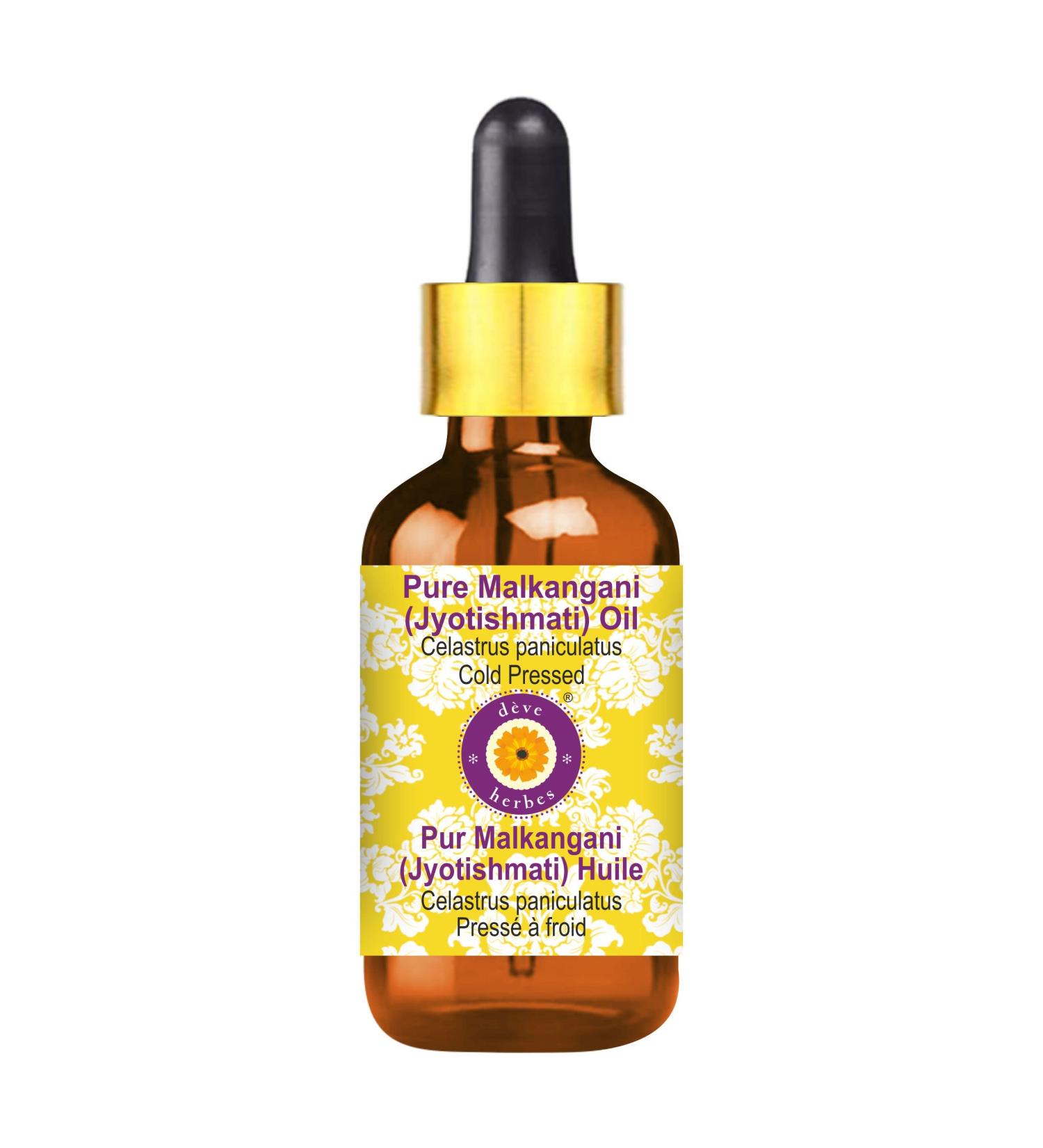 Dev Herbes Pure Malkangani Oil 100ml - Cold Pressed Celastrus Paniculatus with Glass Dropper | Natural Therapeutic Grade for Health & Wellness - Buy Online on GoSupps.com