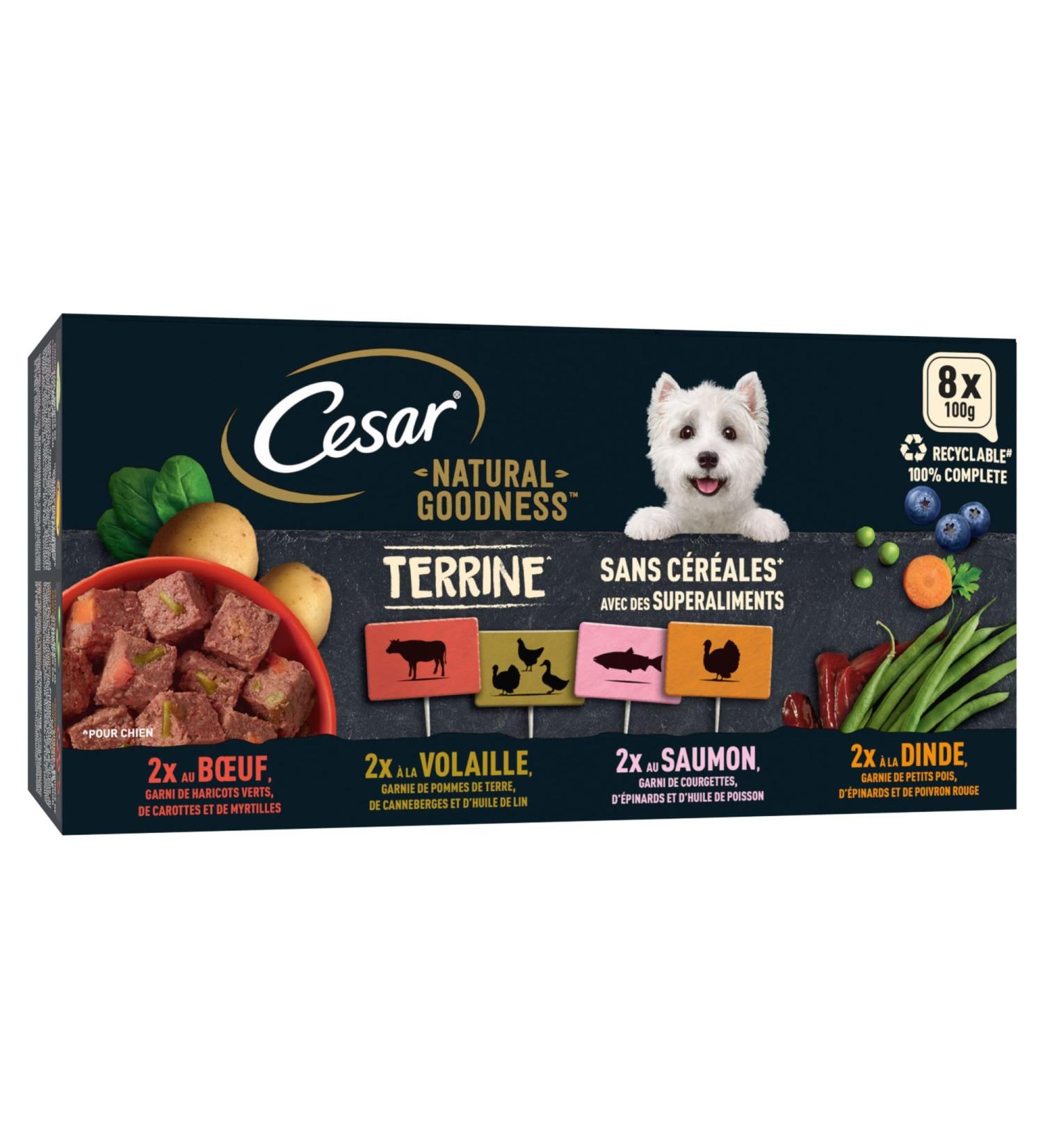 Cesar Barquettes Natural Goodness Terrine Wet Dog Food 4 Varieties Pack of 24 trays x 100 g - Buy Online on GoSupps.com