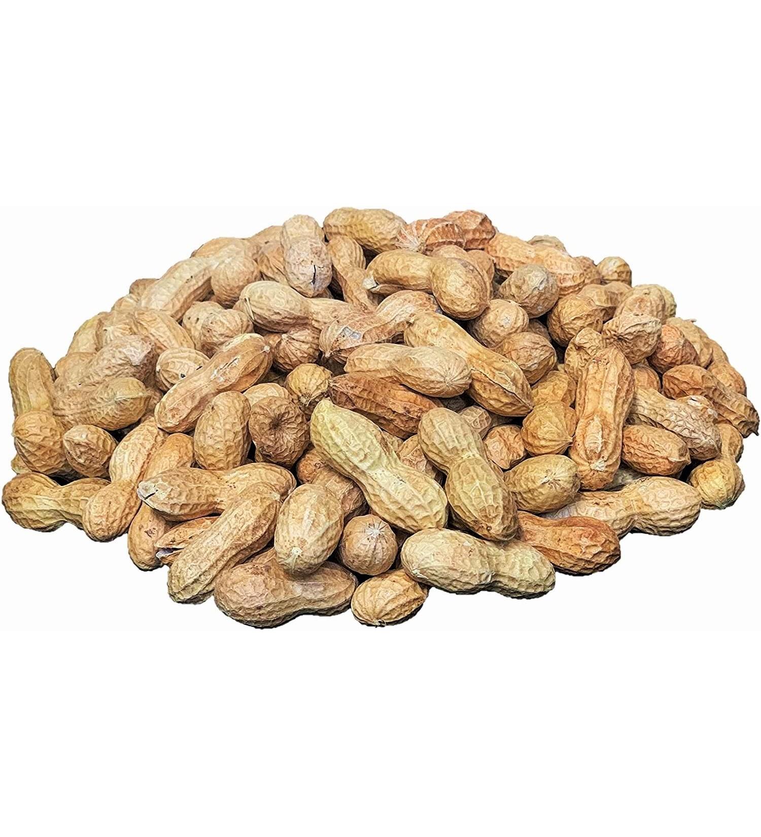 Premium Raw Peanuts in Shell for Birds, Squirrels, Deer & Wildlife - 5 lbs - Buy Online on GoSupps.com