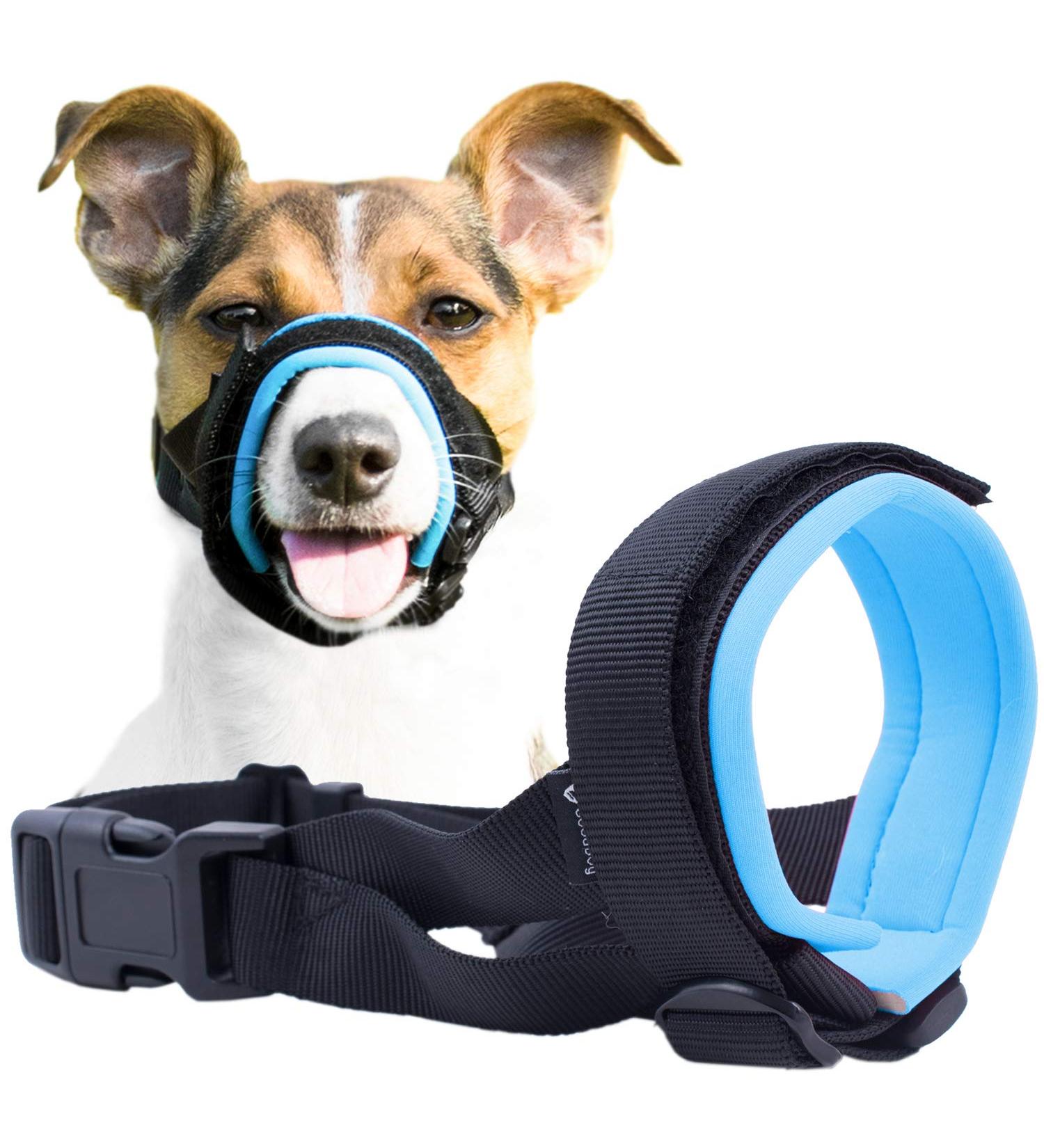 Gentle Muzzle Guard for Dogs - Prevents Biting and Unwanted Chewing Safely New Secure Comfort Fit - Soft Neoprene Padding No More Chafing Included Training Guide Helps Build Bonds with Pet (M Blue) Blue M (Pack of 1) - Buy Online on GoSupps.com