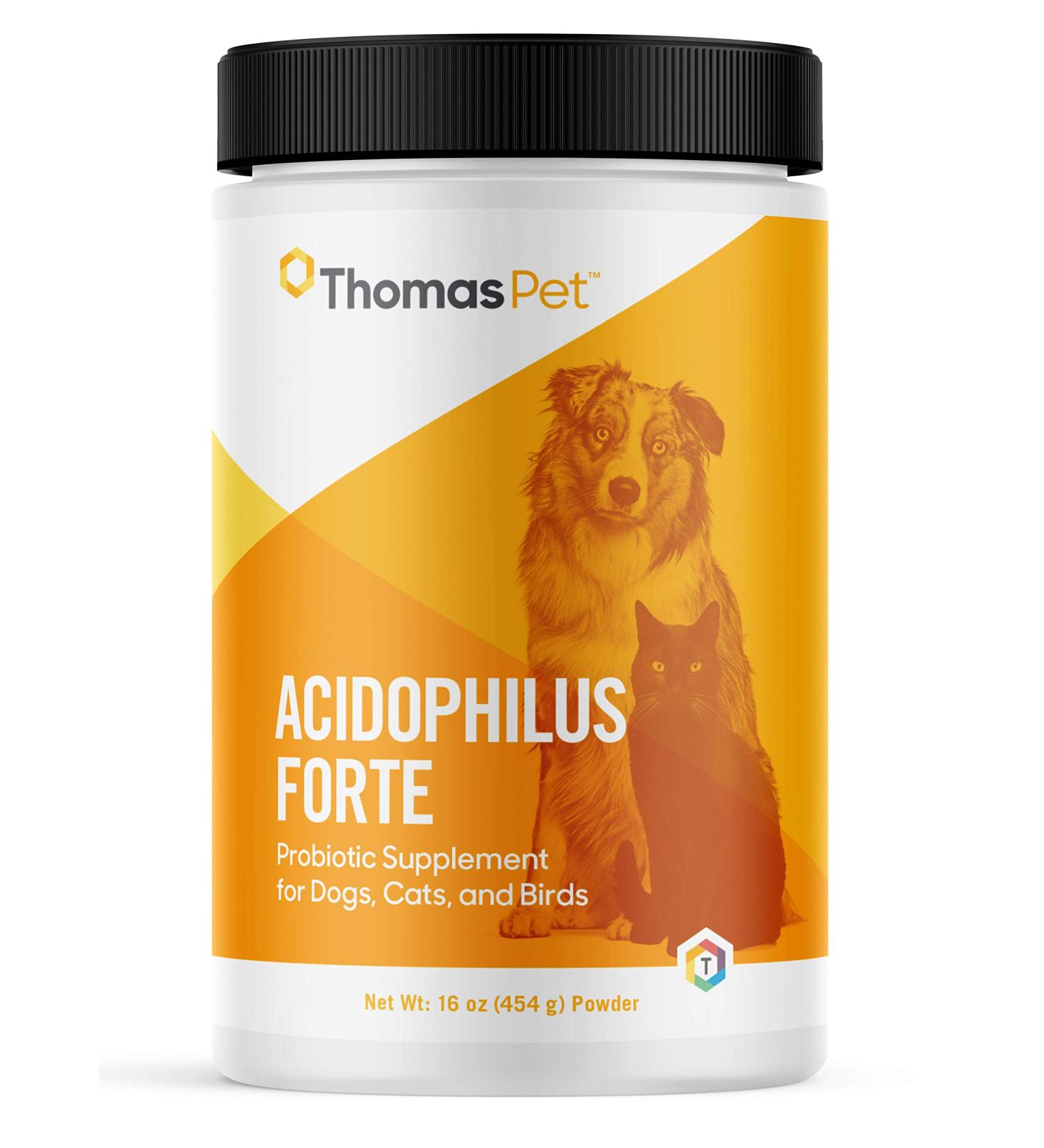 Thomas Labs Acidophilus Forte Digestive Powder 16oz | Probiotic Supplement - Buy Online on GoSupps.com