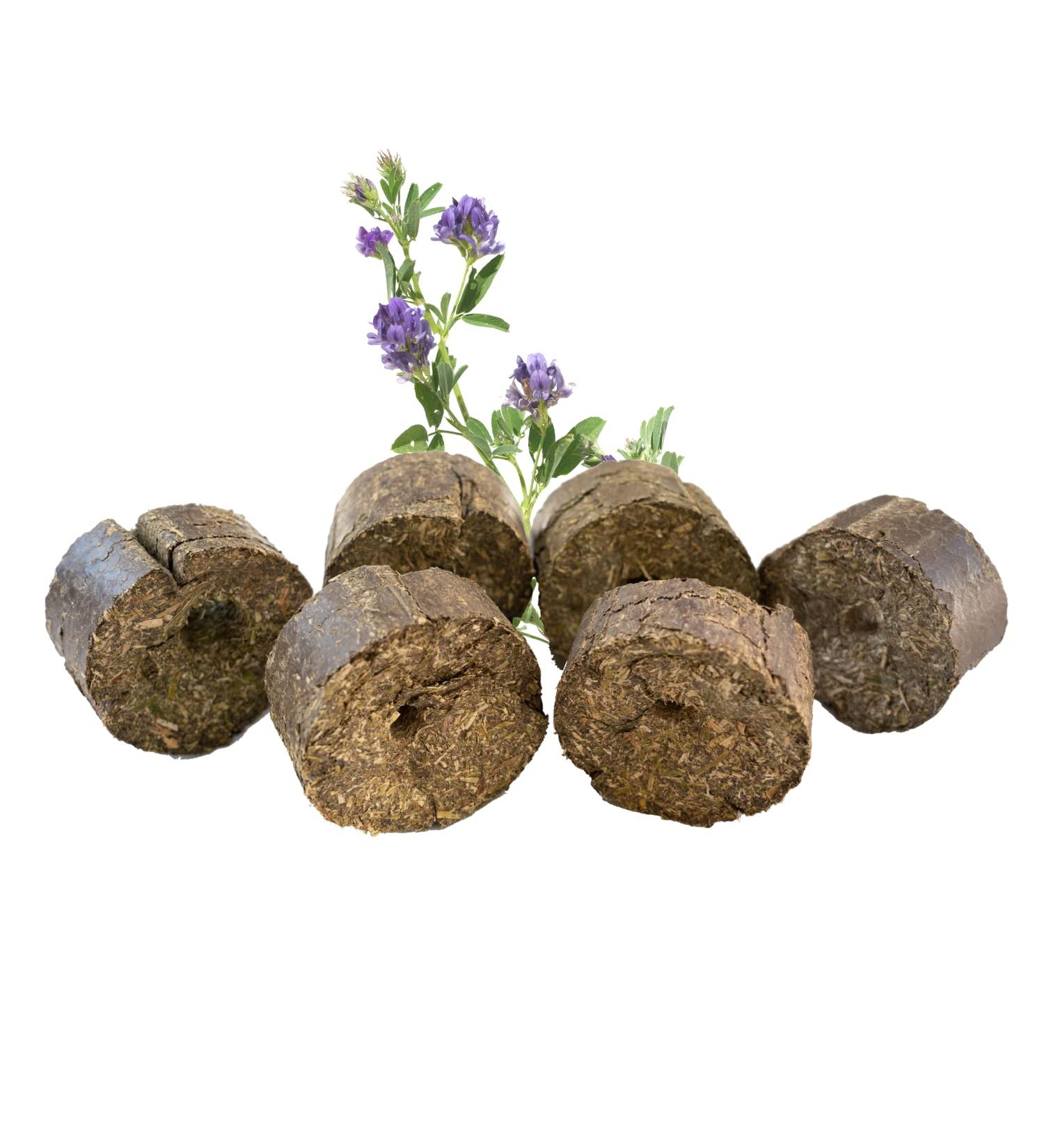 Premium Lucerne Blocks for Horses | Healthy Roughage Snacks | 12.5kg Refill Pack | Ideal for Jumping Ropes | International Shipping - Buy Online on GoSupps.com