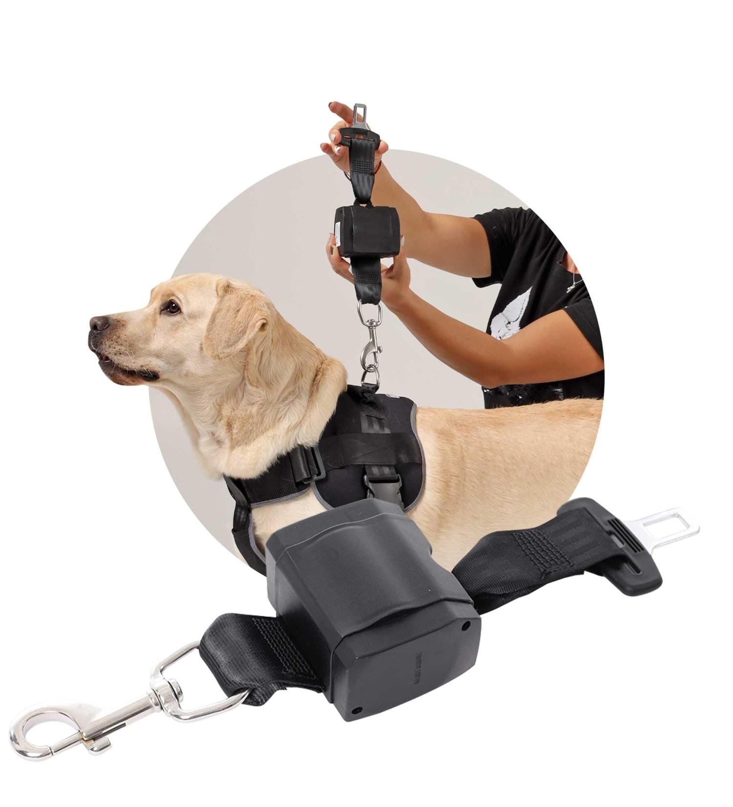 Automatic Safety Belt for Dogs - German Made Pull-Out Design for Medium & Large Dogs | Durable with Rotatable Stainless Steel Carabiner - Buy Online on GoSupps.com