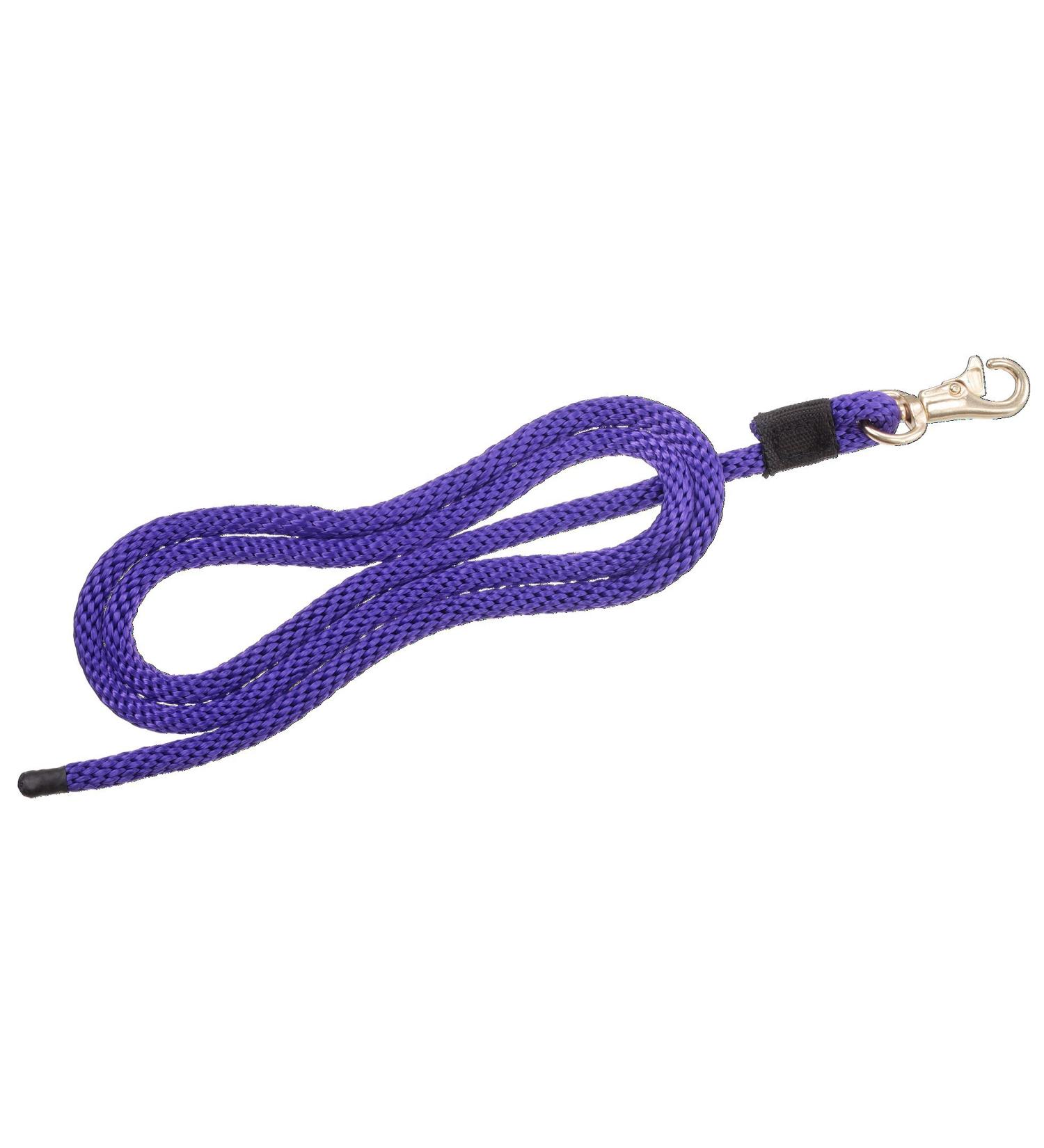 Tough 1 Miniature Lead with Small Trigger Bull Snap 1/2" x 6' Purple
