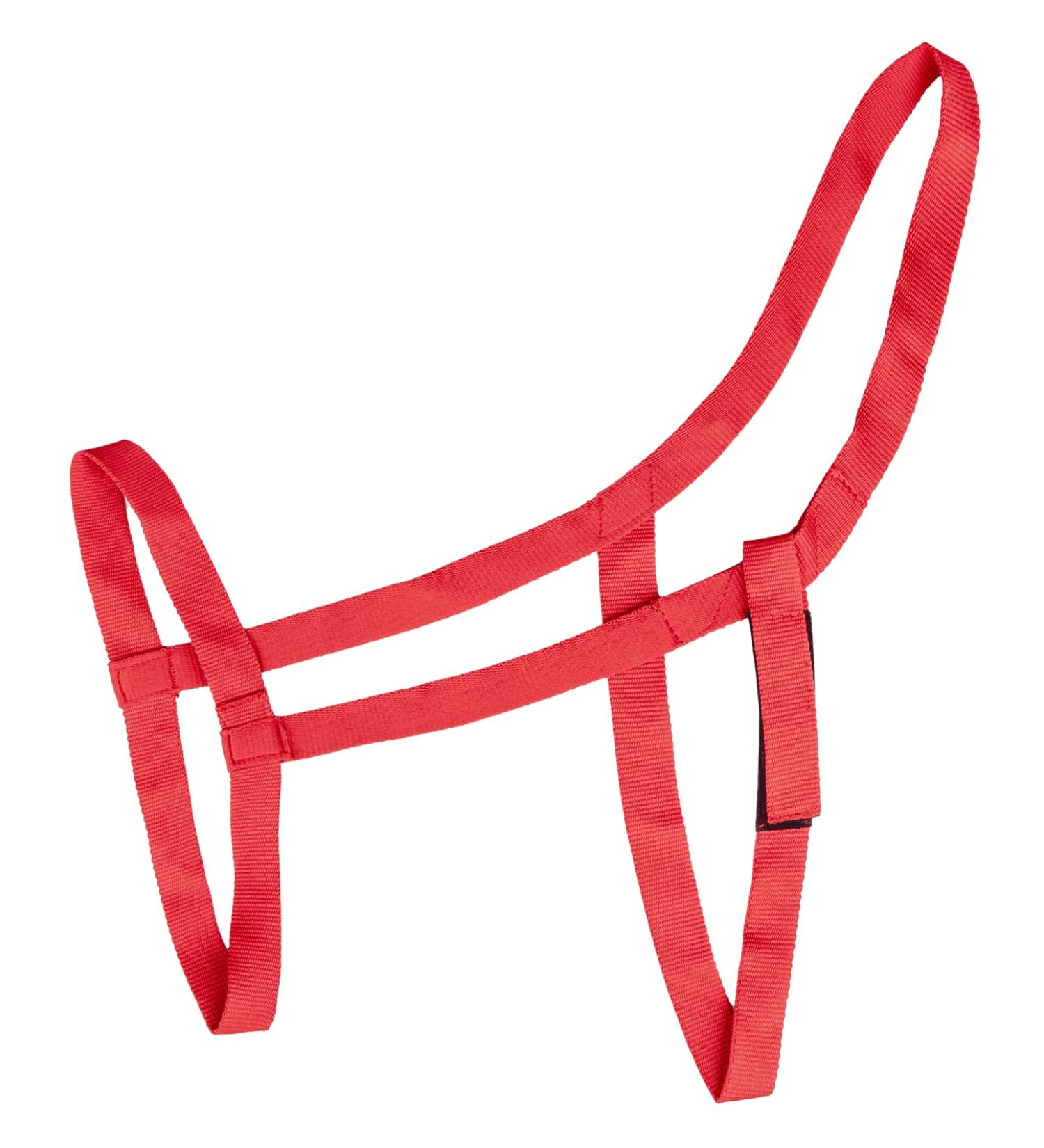 WALDHAUSEN pasture halter thoroughbred red Red VB