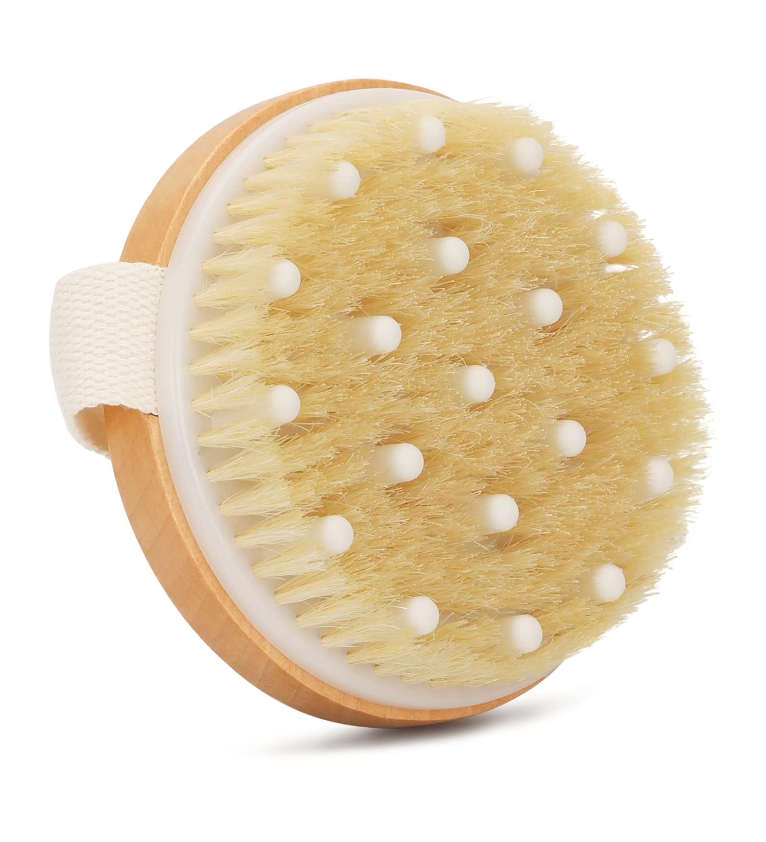 SetSail Dry Brushing Body Brush - Natural Bristles for Cellulite Reduction and Lymphatic Drainage Massage - Exfoliating Brush for Soft Skin and Improved Circulation - Buy Online on GoSupps.com