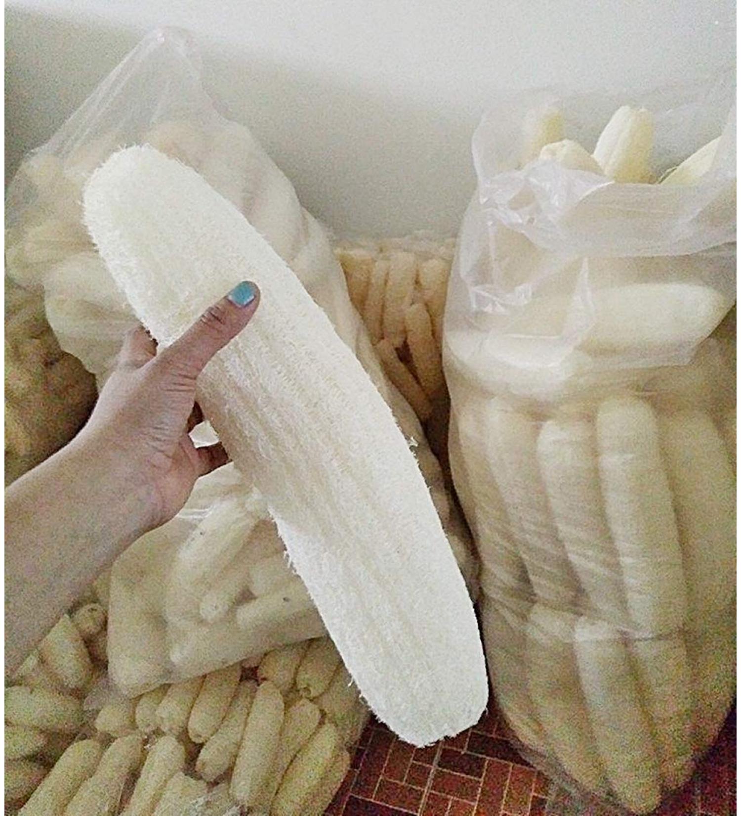 Big natural Loofahs Loffa Lofa Loofa 100% Natural Loofahs Sponges Perfect For SPA Beauty Bath Sponge Body Scrubber Puff Bathing Accessories. Premium Quality Luffa for exfoliating Your Skin.