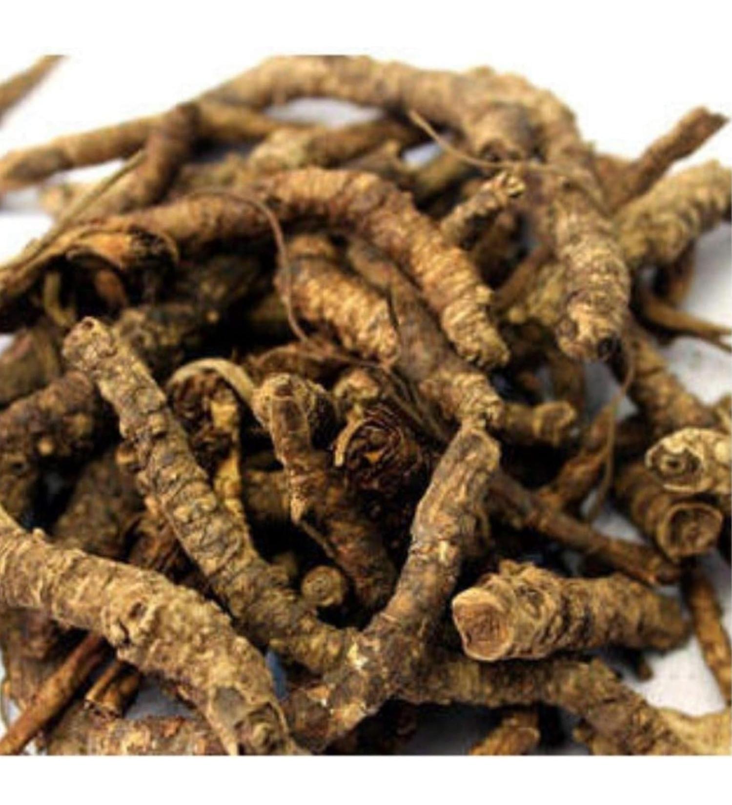 DX Kutki 50 g Picroriza Kurroa Hellabore Racine de Katukarogani Kadu Katuka