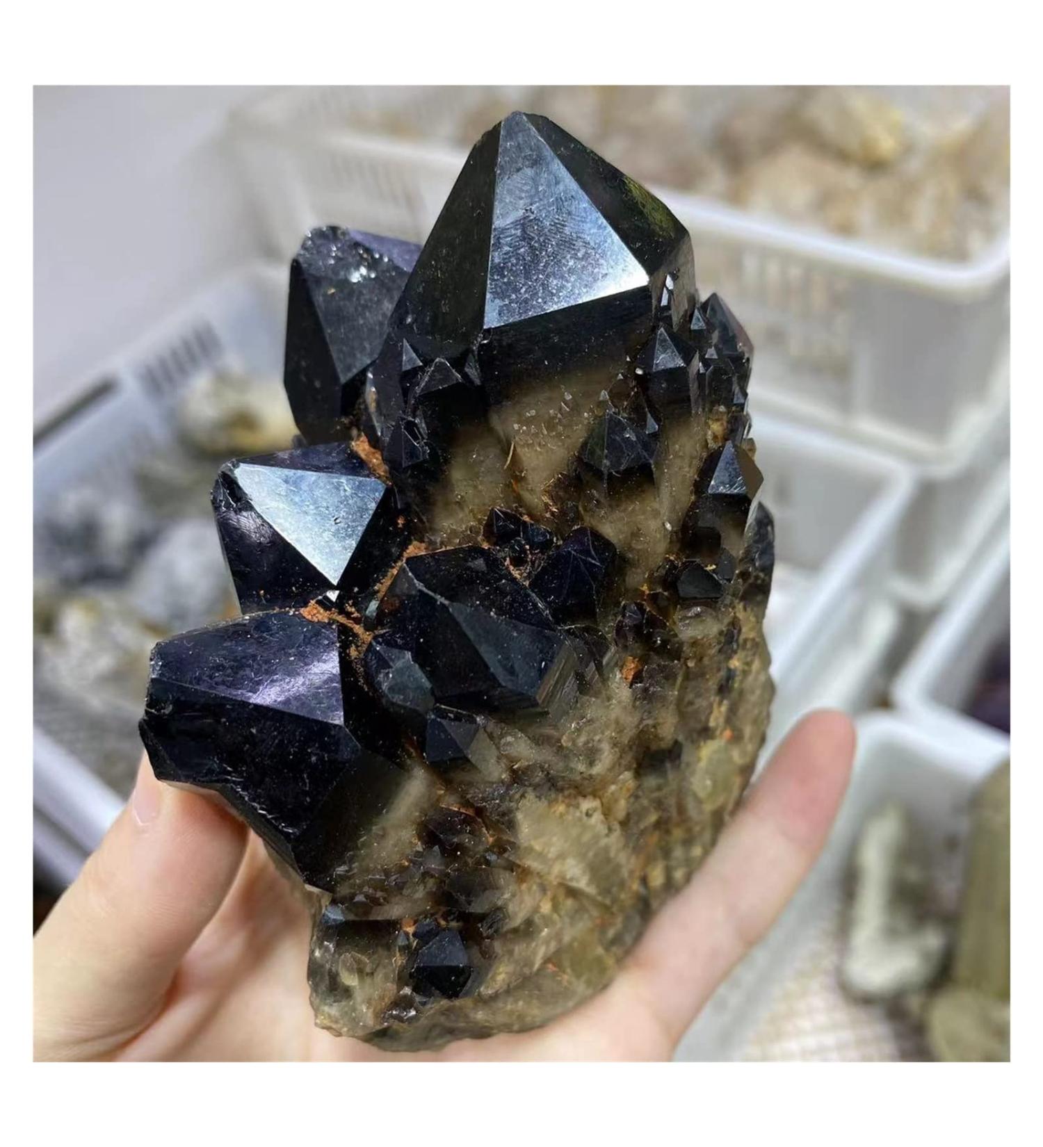 Crystal Cluster Natural Black Crystal Pineapple Cluster Quartz Ore Specimen Decorative Gift ningxiao (Size : 800-900g) - Buy Online on GoSupps.com