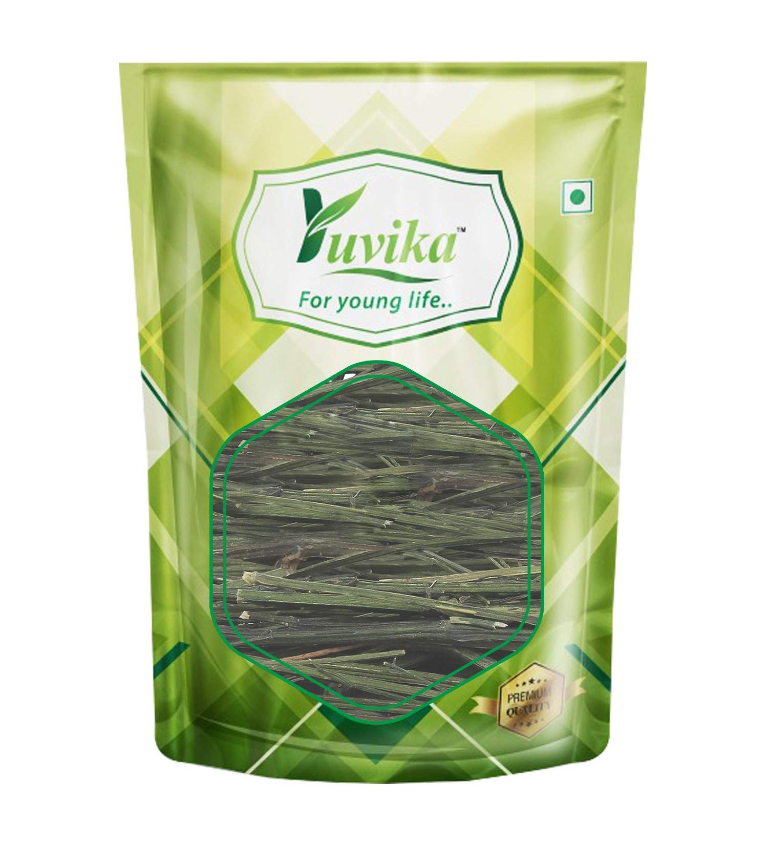 YUVIKA Kalmegh | Chirayta Hara | Kirayata - Andrographis Paniculata (100g) | Herbal Immune Support - Buy Online on GoSupps.com