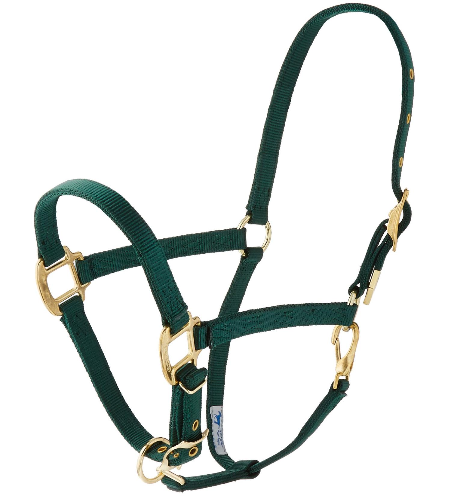 Hamilton 3/4-inch Nylon Arabian Horse Waller with Adjustable Chin and Throat Snap Average 800 to 1100 Pounds Dark Green Average 800 To 1100 Pounds Dark Green