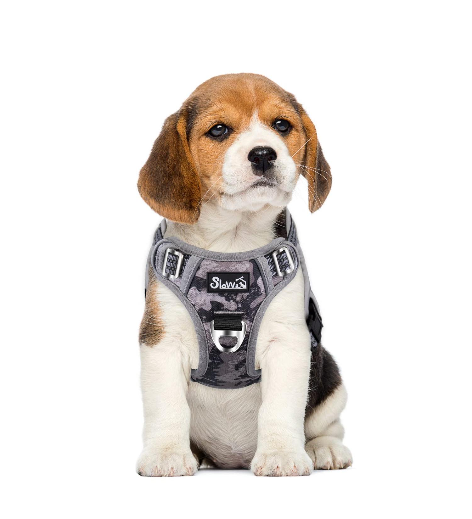 Eyin Camouflage Dog Harness for Small Dogs - Adjustable Breathable Reflective with Padded Handle | Daily Training Gear (Size S: Neck 32-46cm Chest 35-63cm) - Buy Online on GoSupps.com