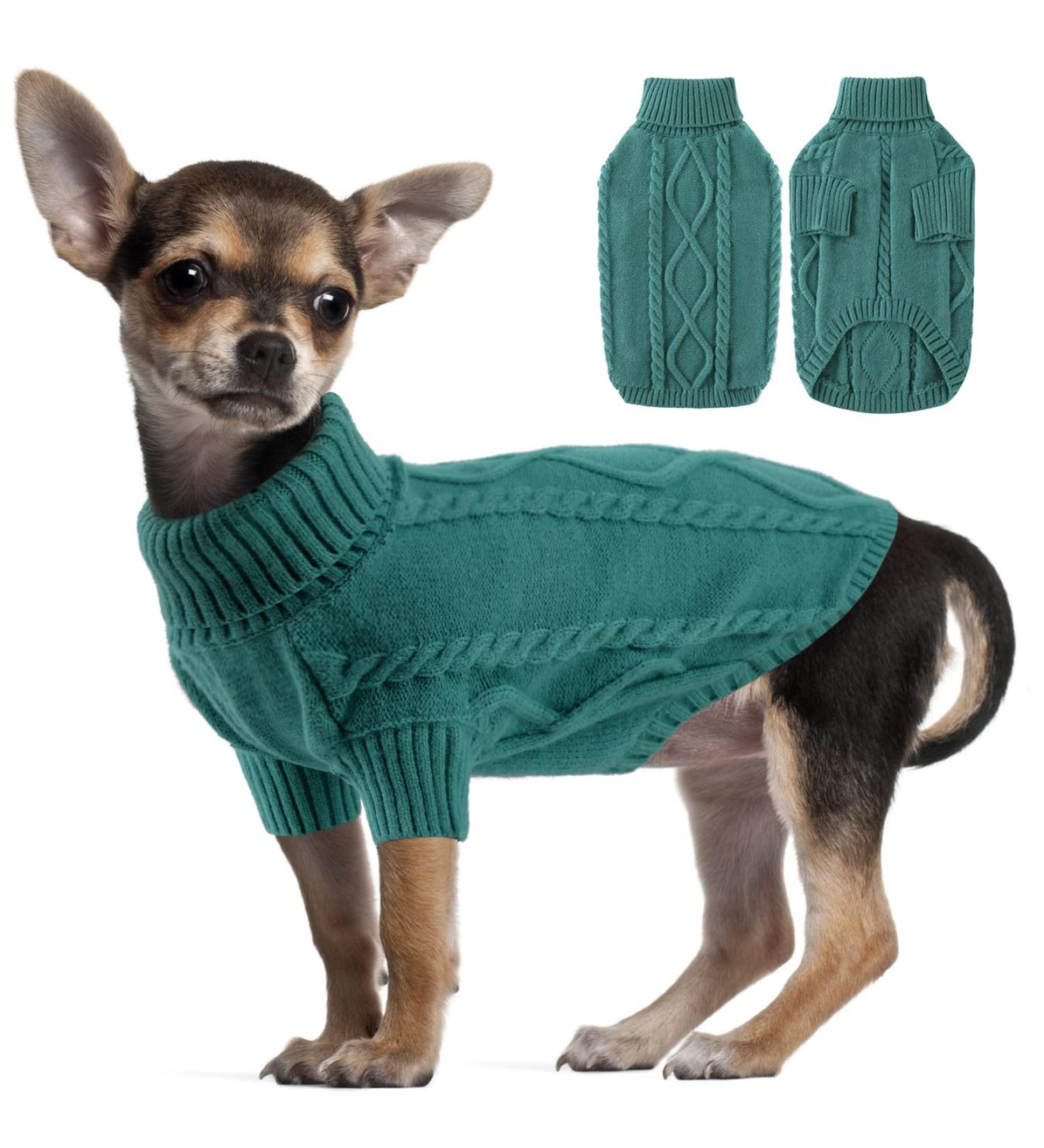 Shop Cozy Turtleneck Dog Sweaters for Small Dogs | Winter Warmth | Peacock Green - Buy Online on GoSupps.com