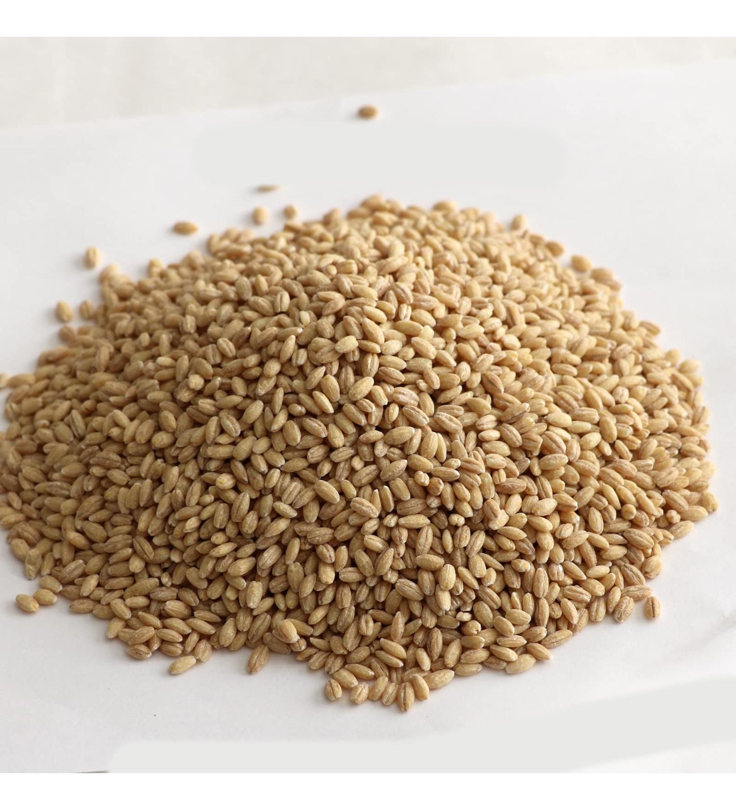 5 LB Raw Pearl Barley Bulk - Naturally Processed Cebada - Buy Online on GoSupps.com