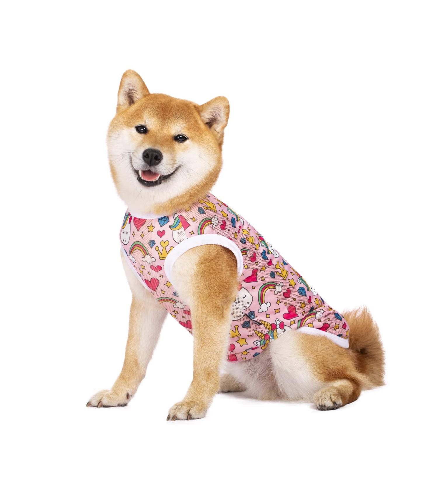Cool Summer T-Shirt for Dogs | Breathable Sun Protection Vest | Stylish Pet Clothing for Medium & Large Dogs (4XL Rainbow) - Buy Online on GoSupps.com