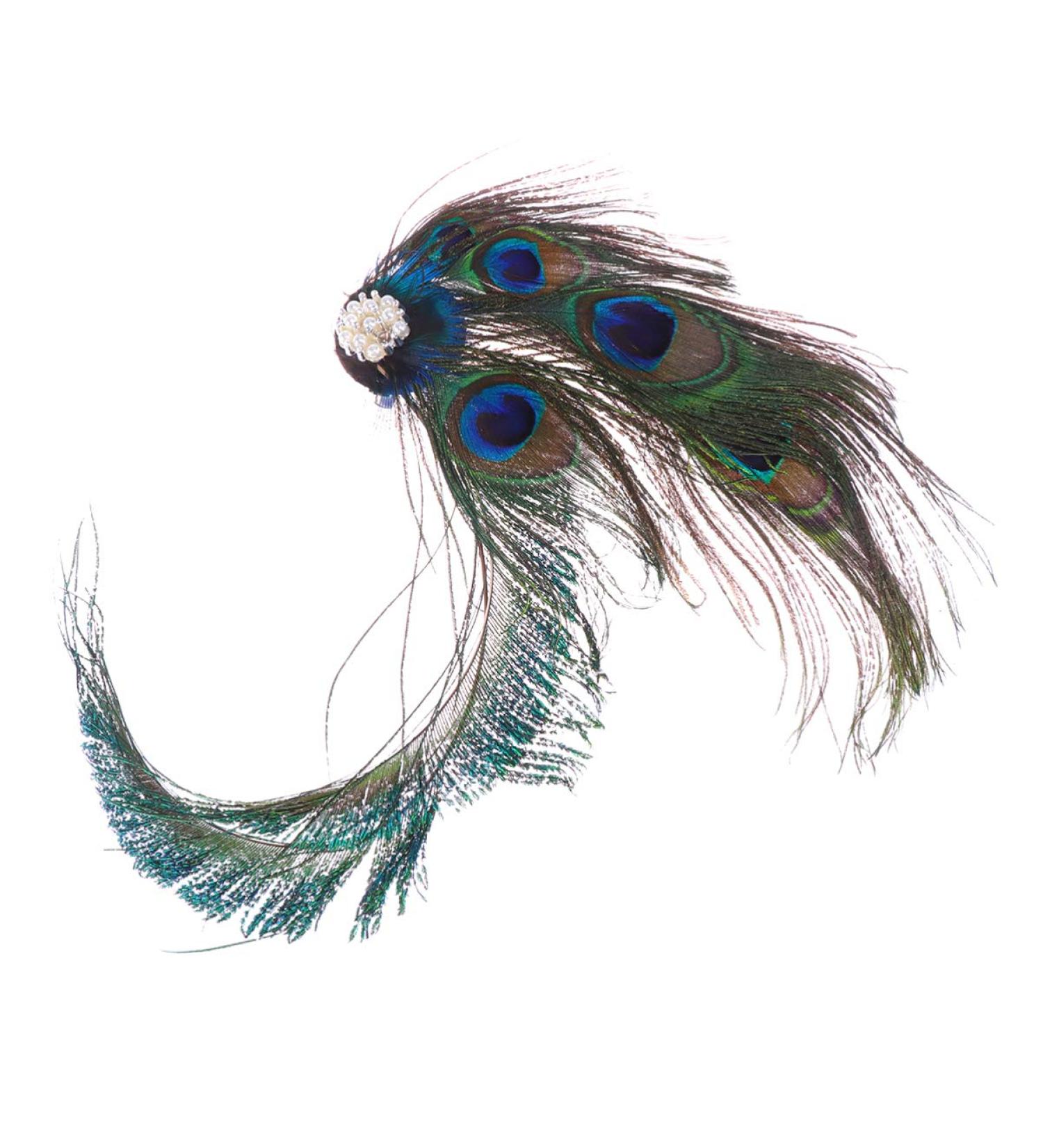 Beaupretty Feder Haircap Fascinators - Stylish Pfau Flapper Headdress for Women & Girls | Party Headgear & Hair Jewelry - Buy Online on GoSupps.com