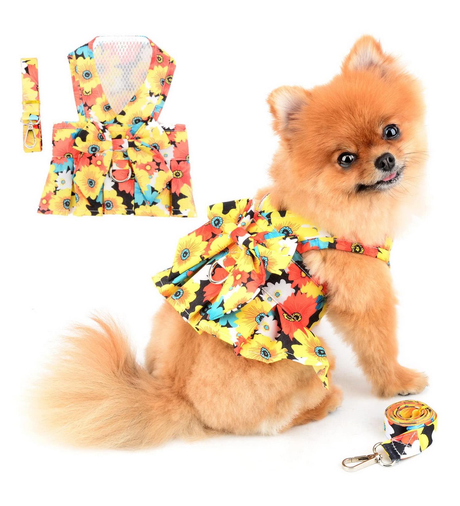 Paidful Dog Harness Dress for Small Dogs & Cats | Colorful Flower Tutu Rock Mesh Breathable Pet Clothing with 1.6m Leash - Perfect for Spring/Summer | Chihuahua Yorkie Apparel in Orange (Back Length 20cm) - Buy Online on GoSupps.com