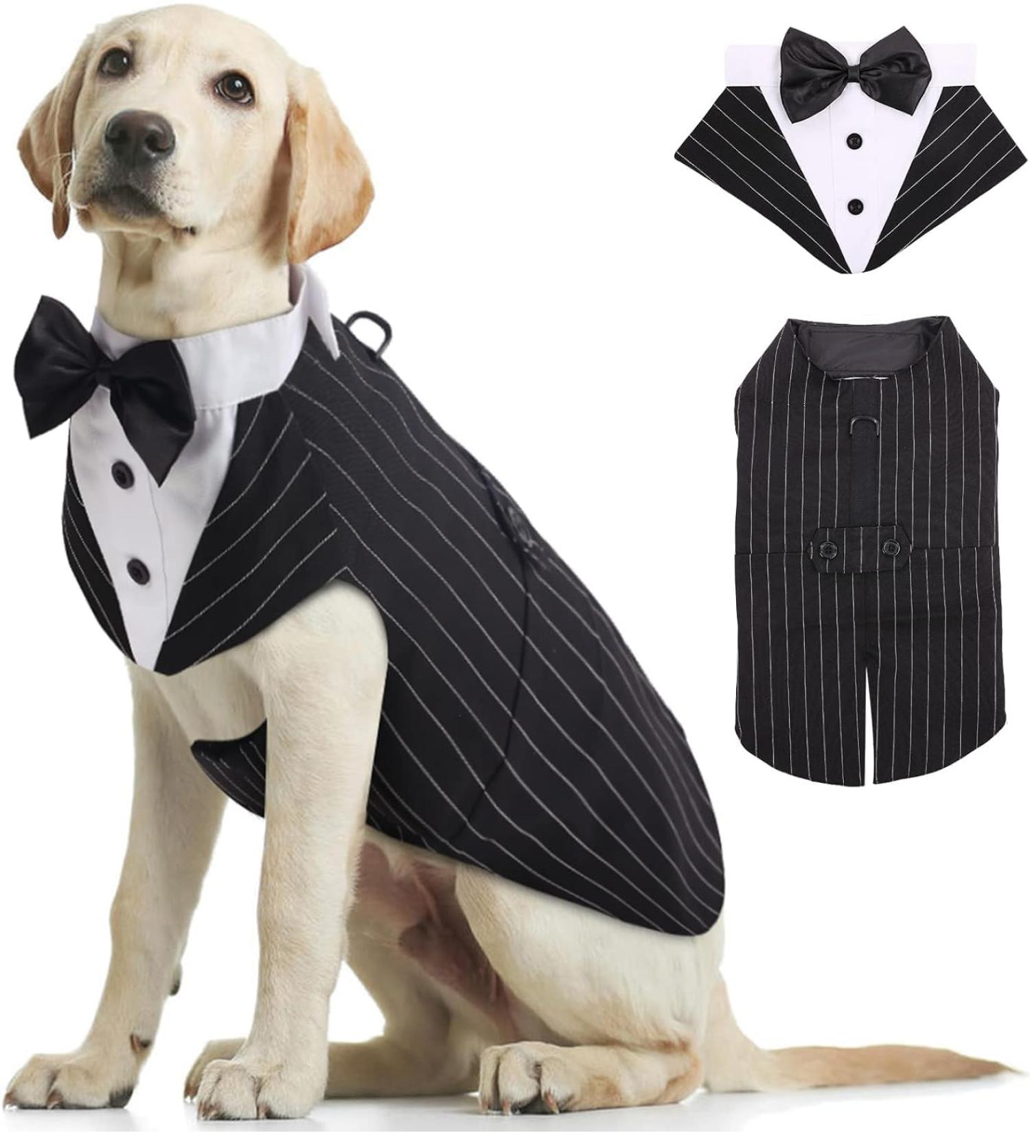 Kuoser Dog Smoking Suit & Bandana Set | Formal Pet Clothes for Dogs - Perfect for Weddings Halloween & Birthday Parties (S-XXL 51 cm Striped) - Buy Online on GoSupps.com