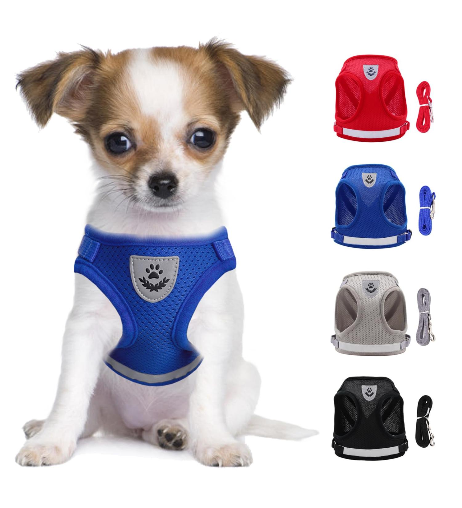Buy Reflective Soft Padded Dog Harness & Cat Dishes for Small Dogs - Air-Mesh Breast Harness (M: 35-39cm) - Blue | International Shipping Available - Buy Online on GoSupps.com